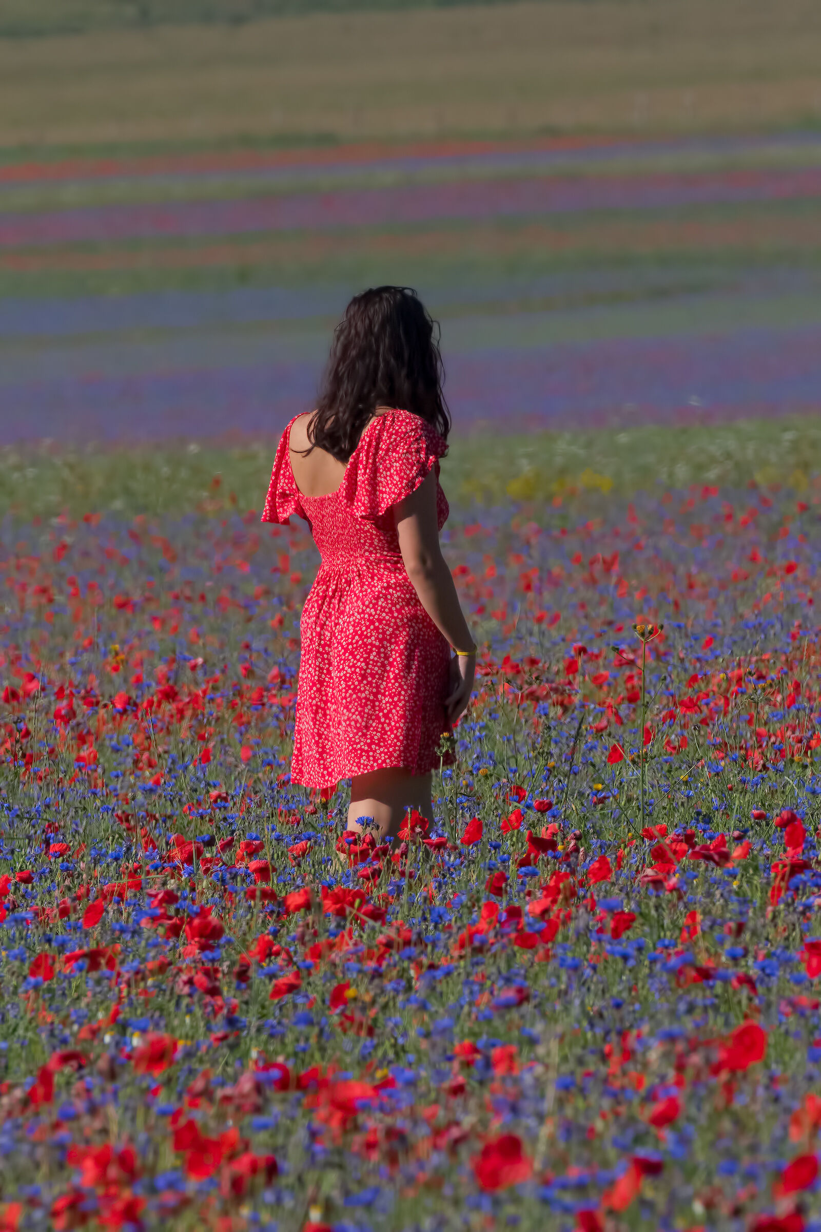 Un Fiore tra i Fiori