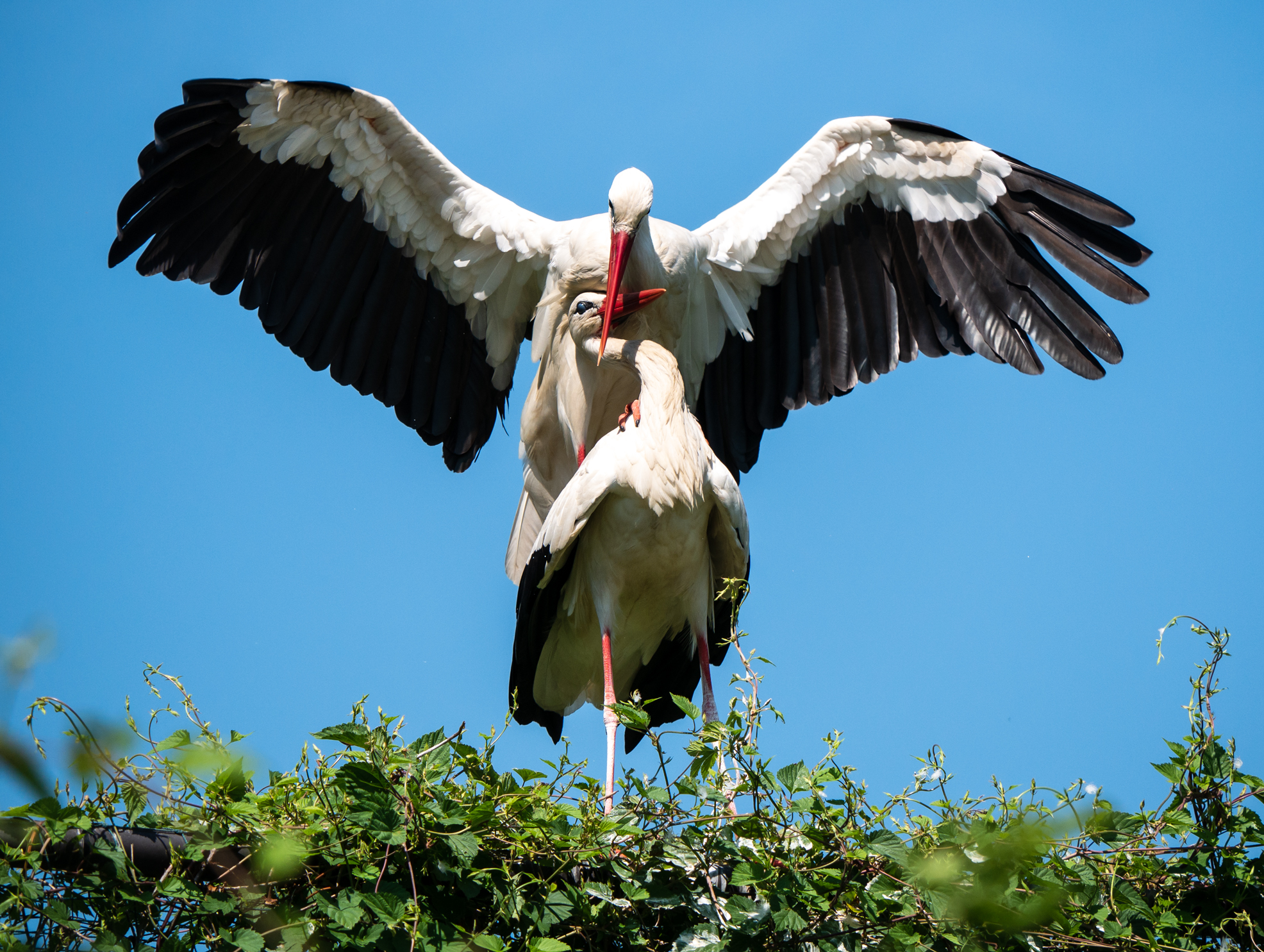 I'm going to come over to you.