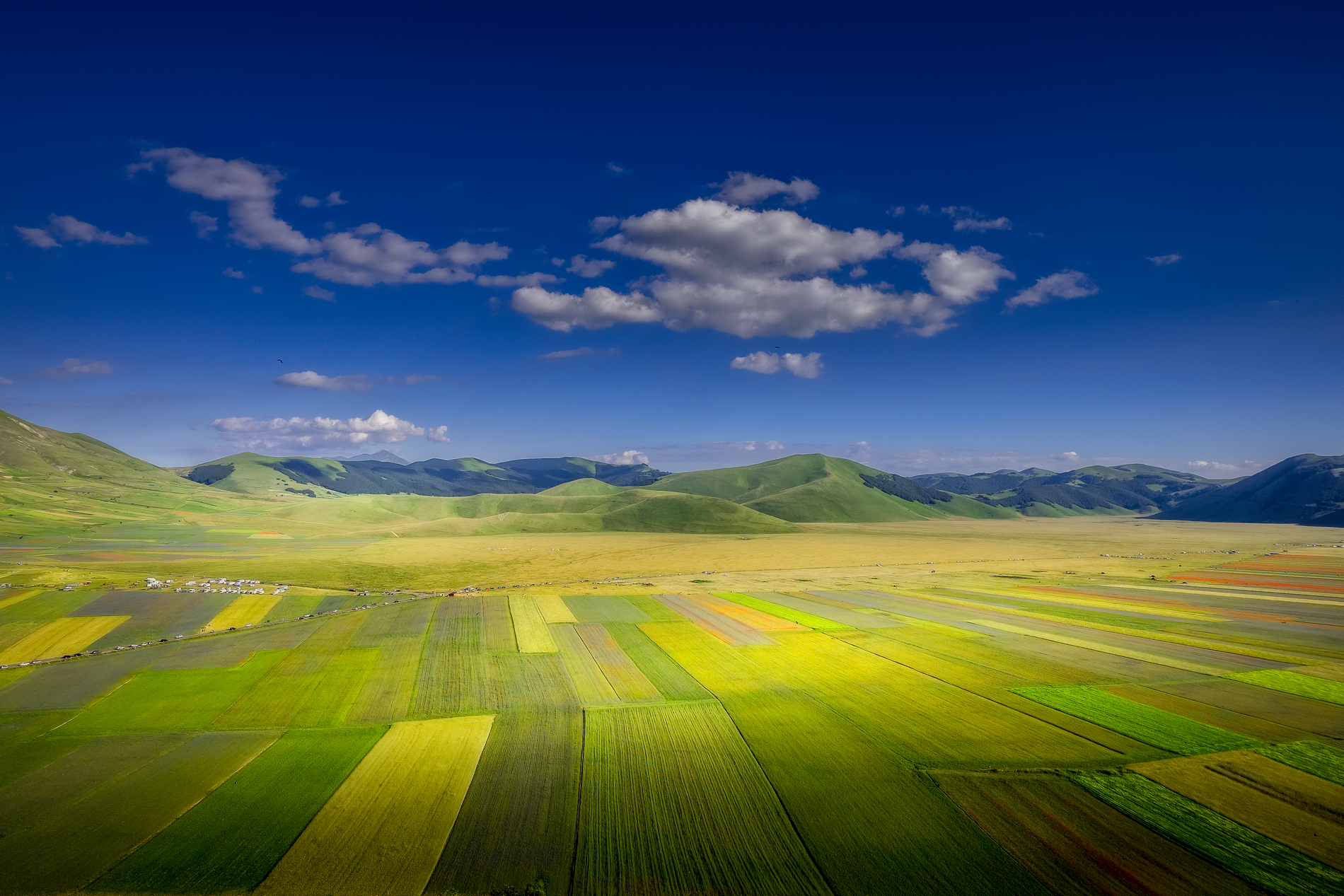 Io c'ero classic edition