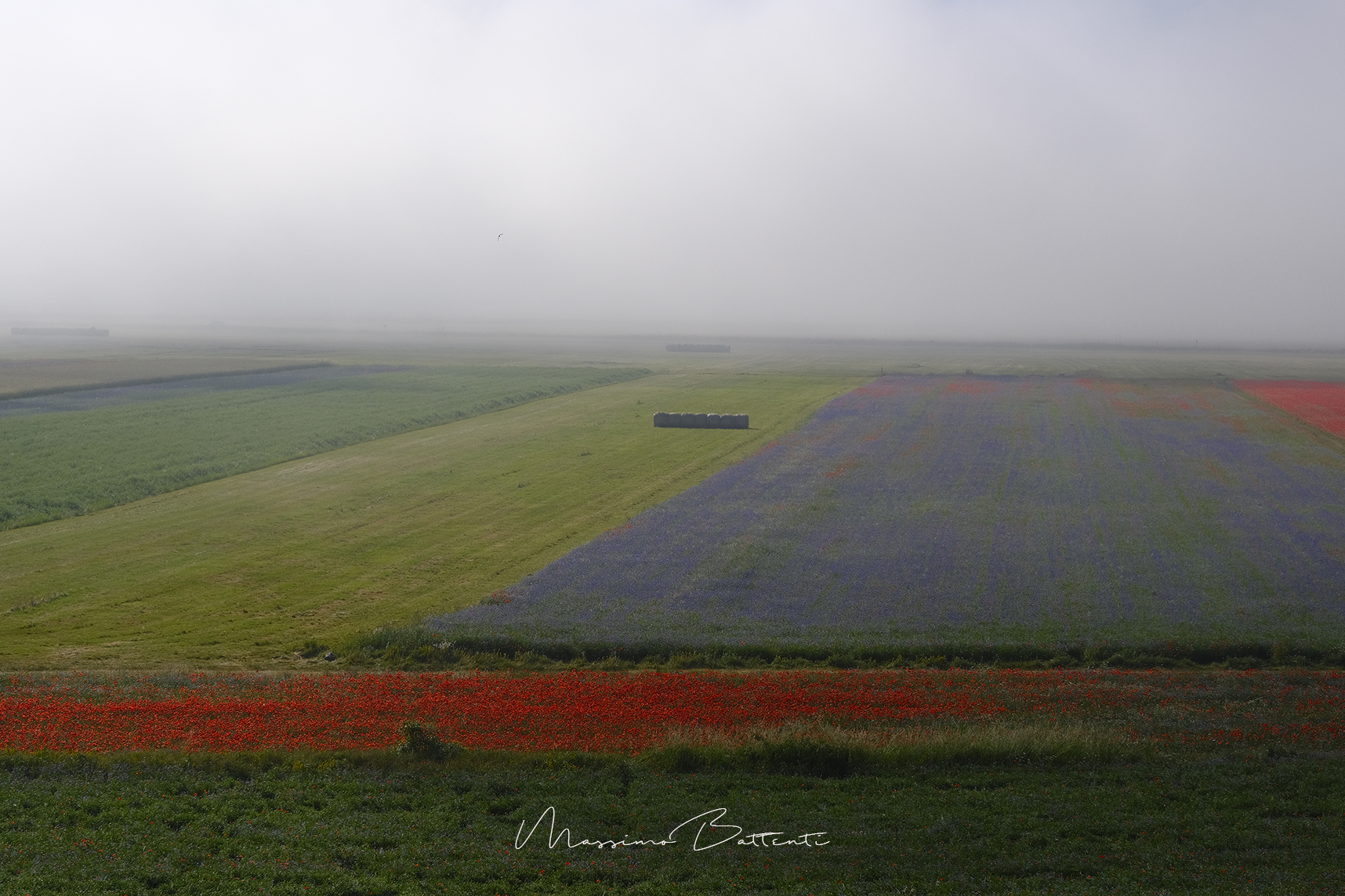 the sun rises on earth "the fog"