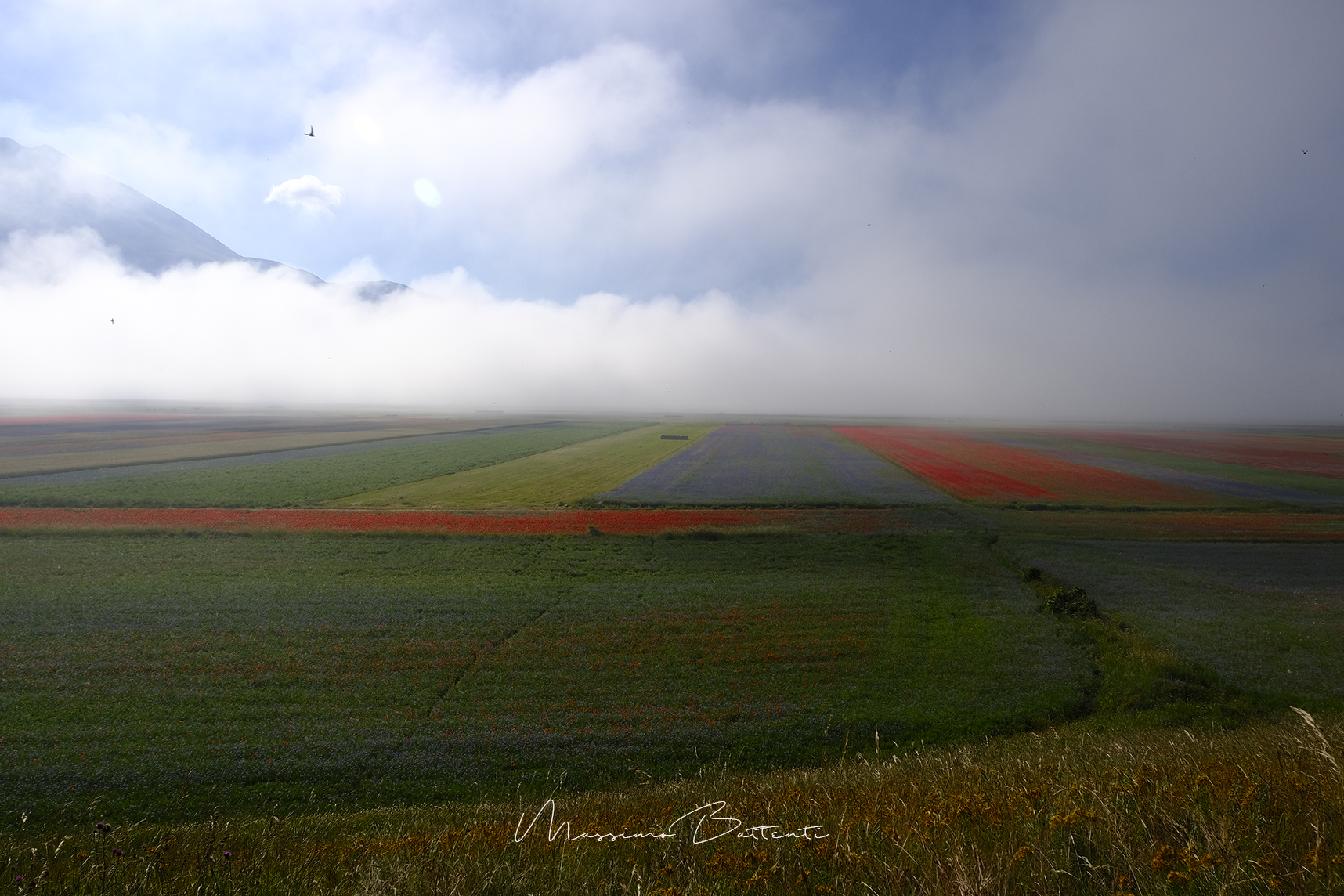 the sun rises on earth "the fog"