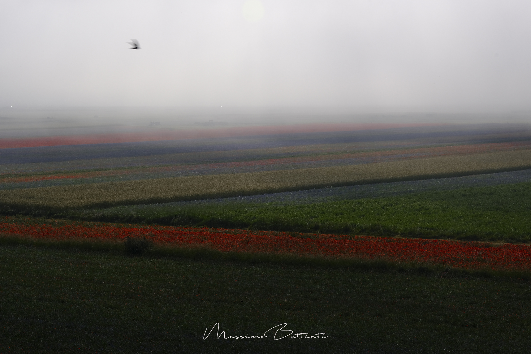 the sun rises on earth "the fog"