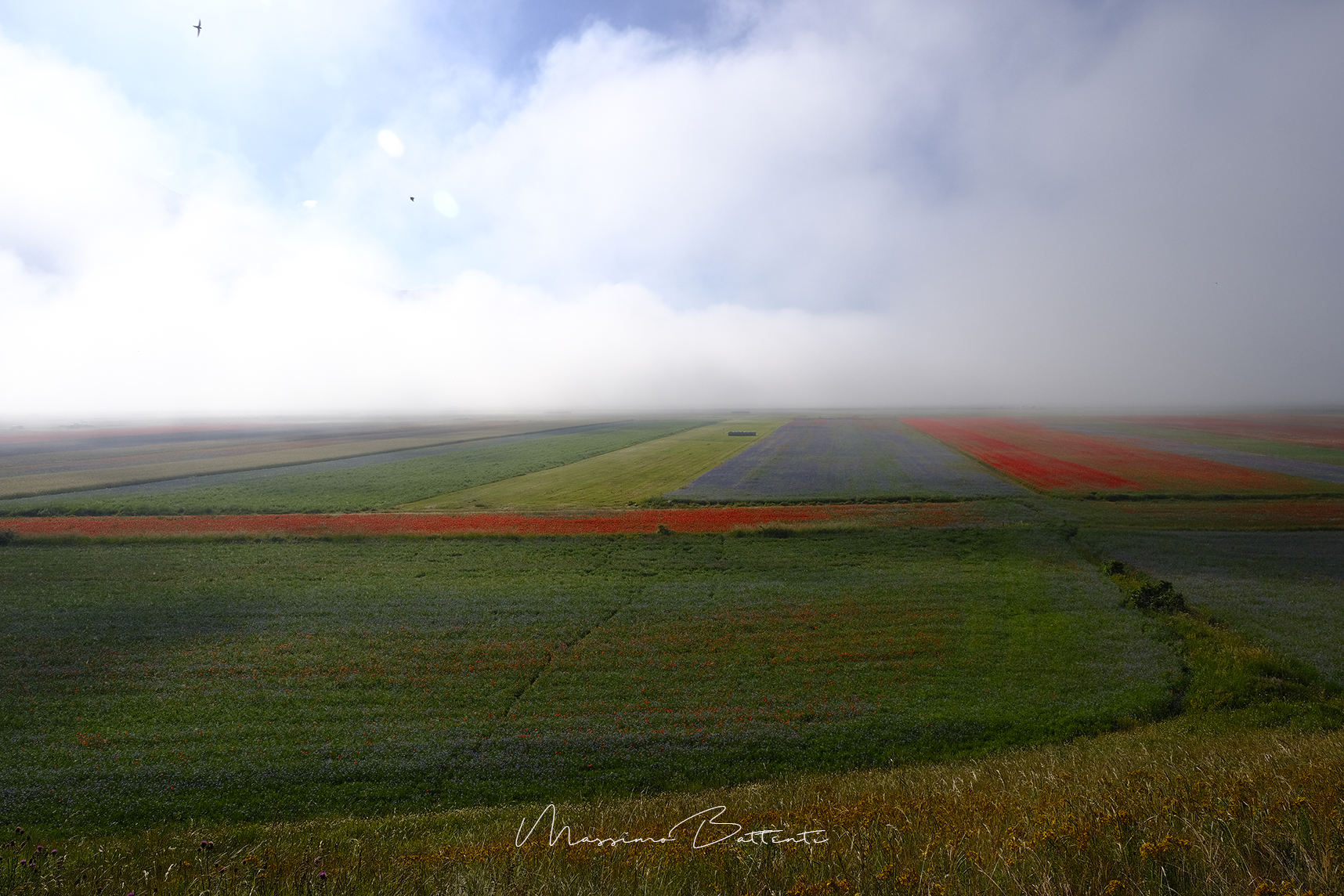 the sun rises on earth "the fog"