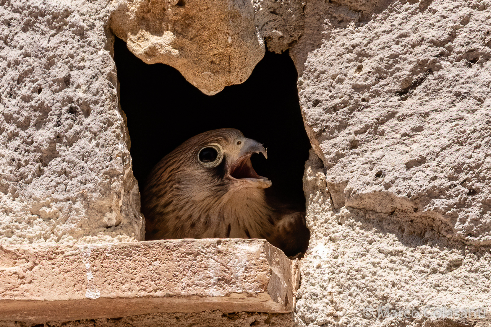 tra un po mi involoooooo