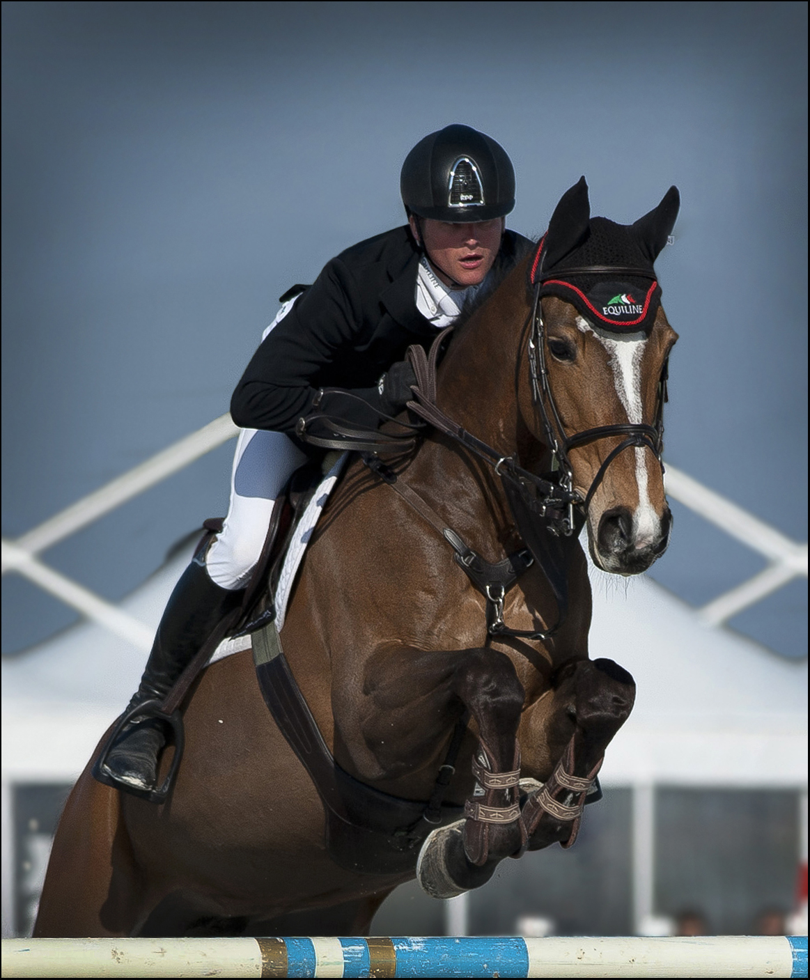 come se spiccasse il volo