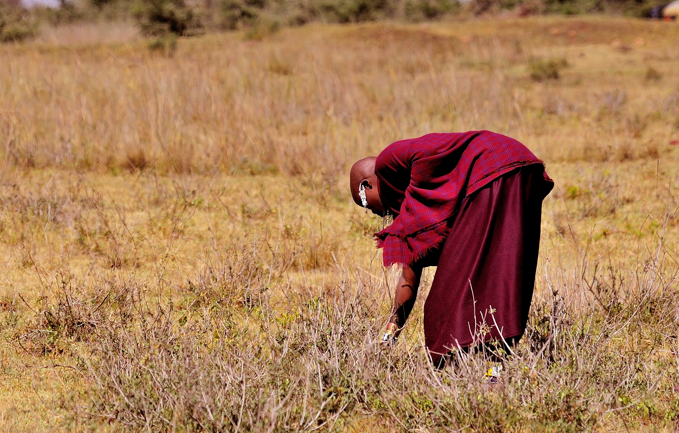 Tanzania 2011- Masai