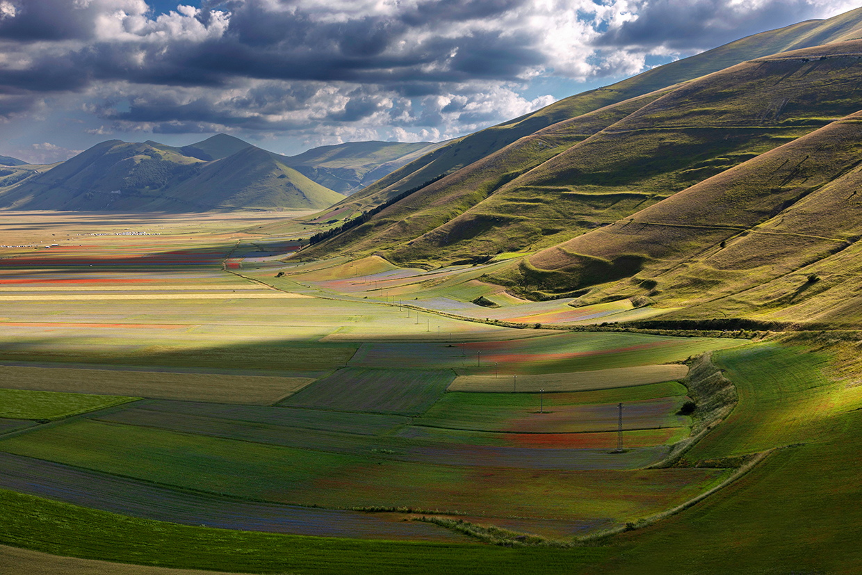 Fioritura Castelluccio di Norcia