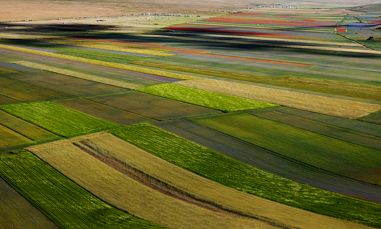 Fioritura Castelluccio di Norcia