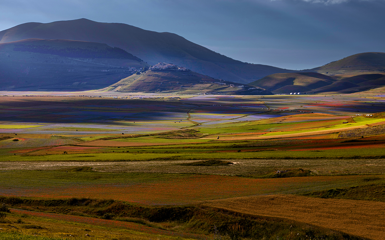 Fioritura Castelluccio di Norcia
