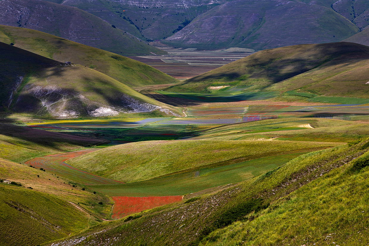Fioritura Castelluccio di Norcia