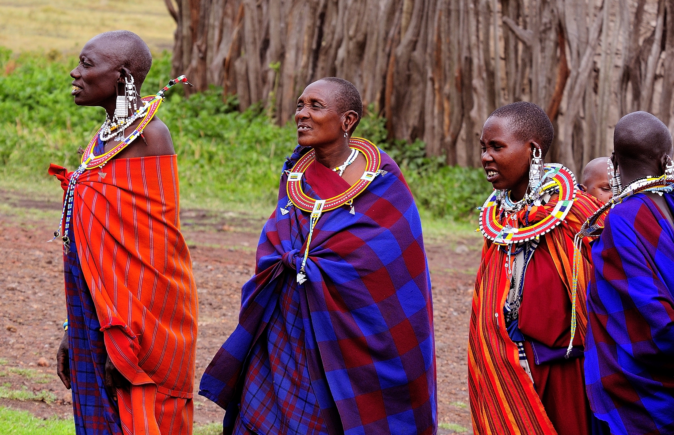 Tanzania 2011- Masai