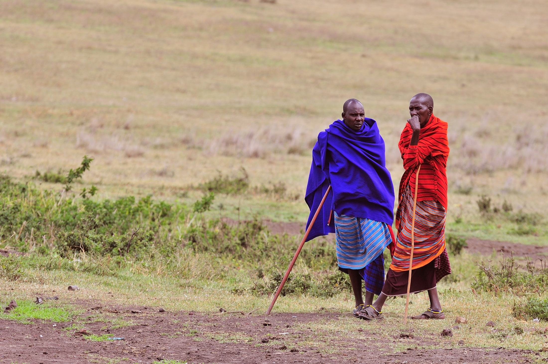Tanzania 2011- Masai