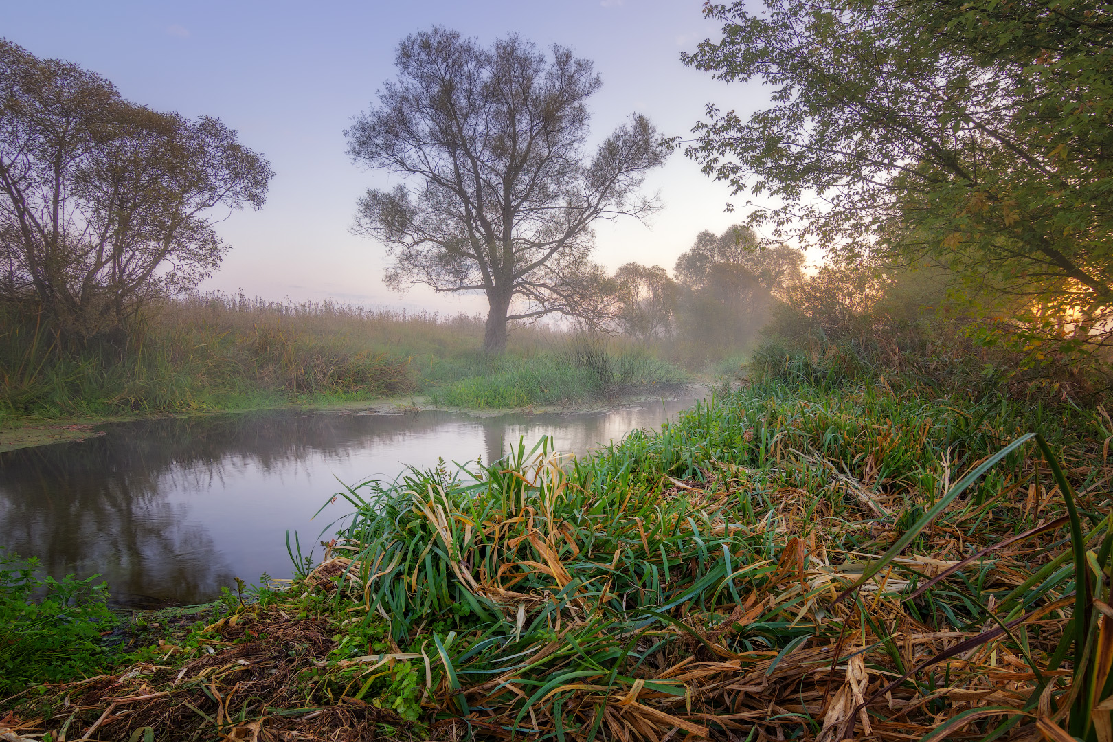 Morning by the river