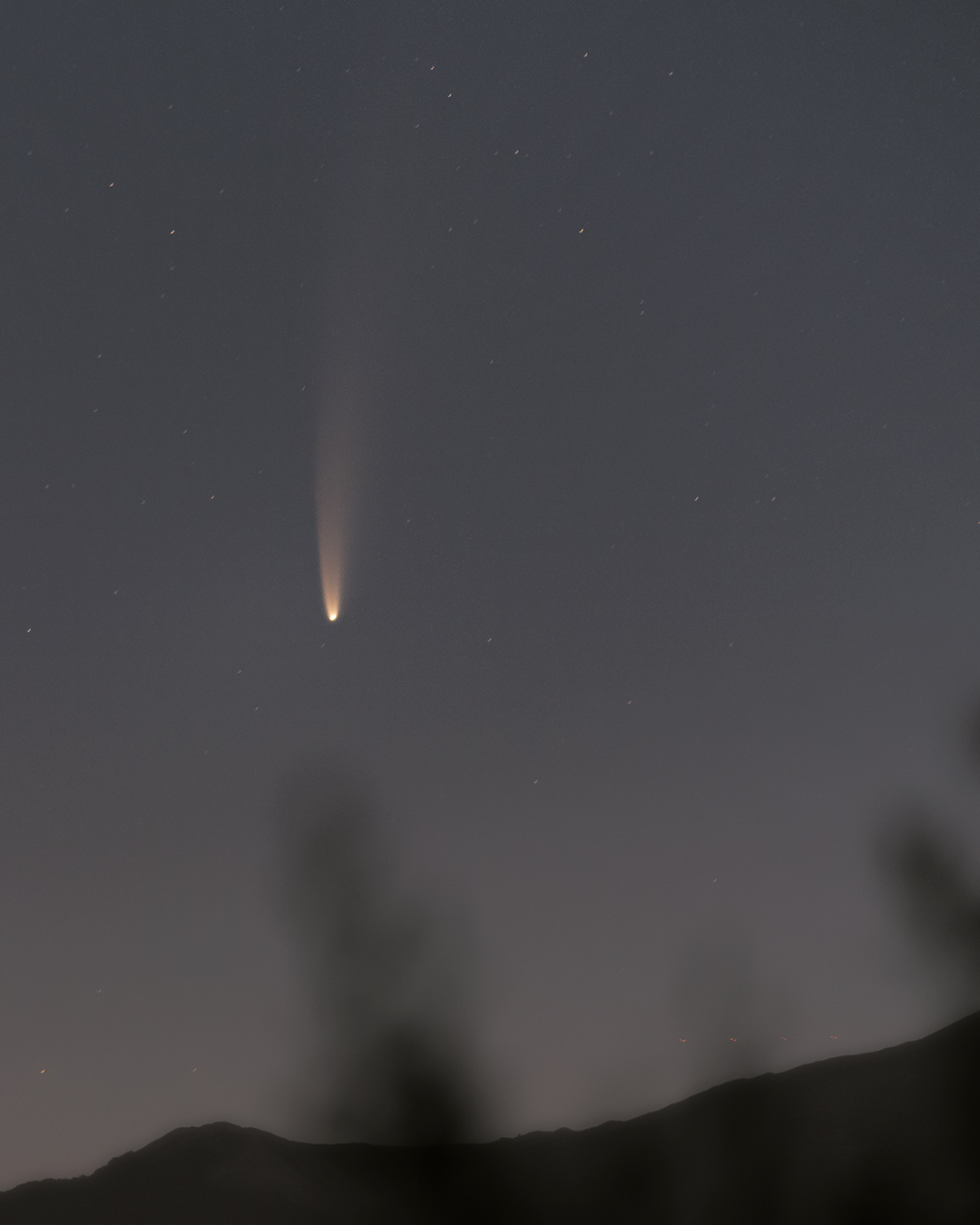neowise comet
