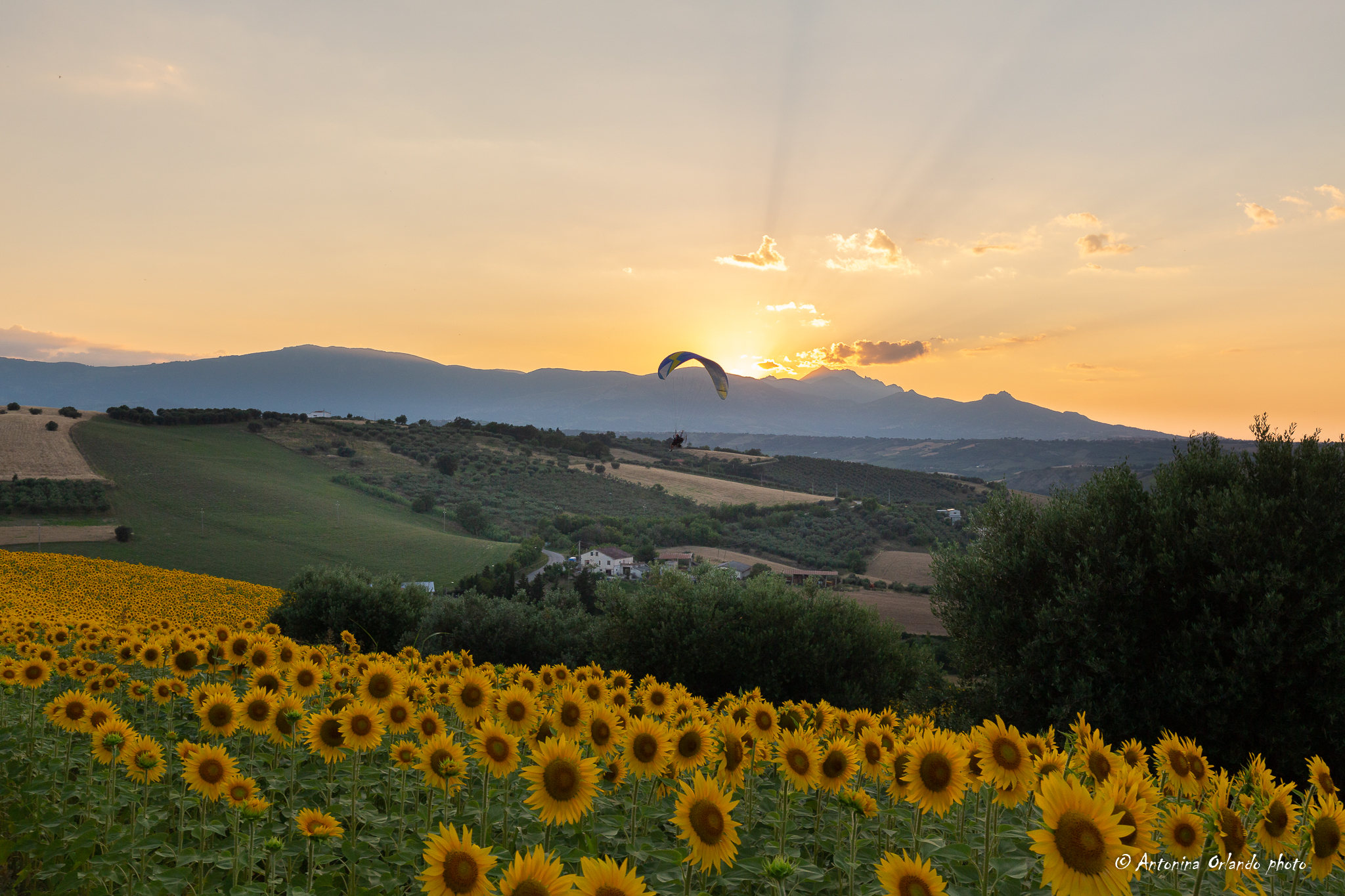 Towards the Sun