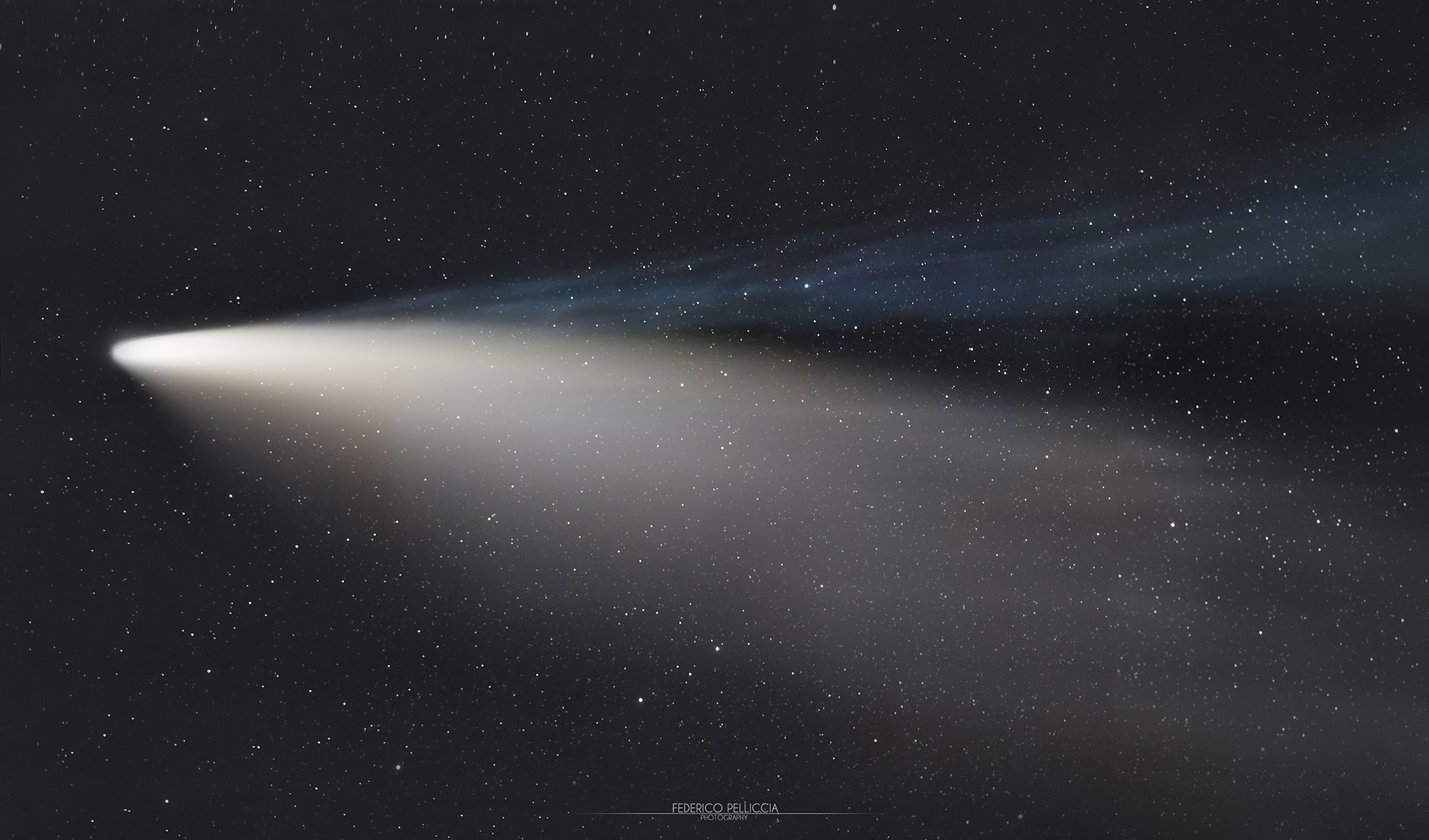 The double tail of comet C/2020 F3 Neowise