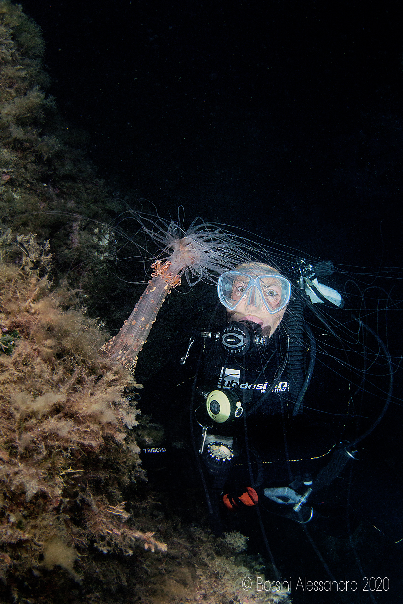 Creature della notte