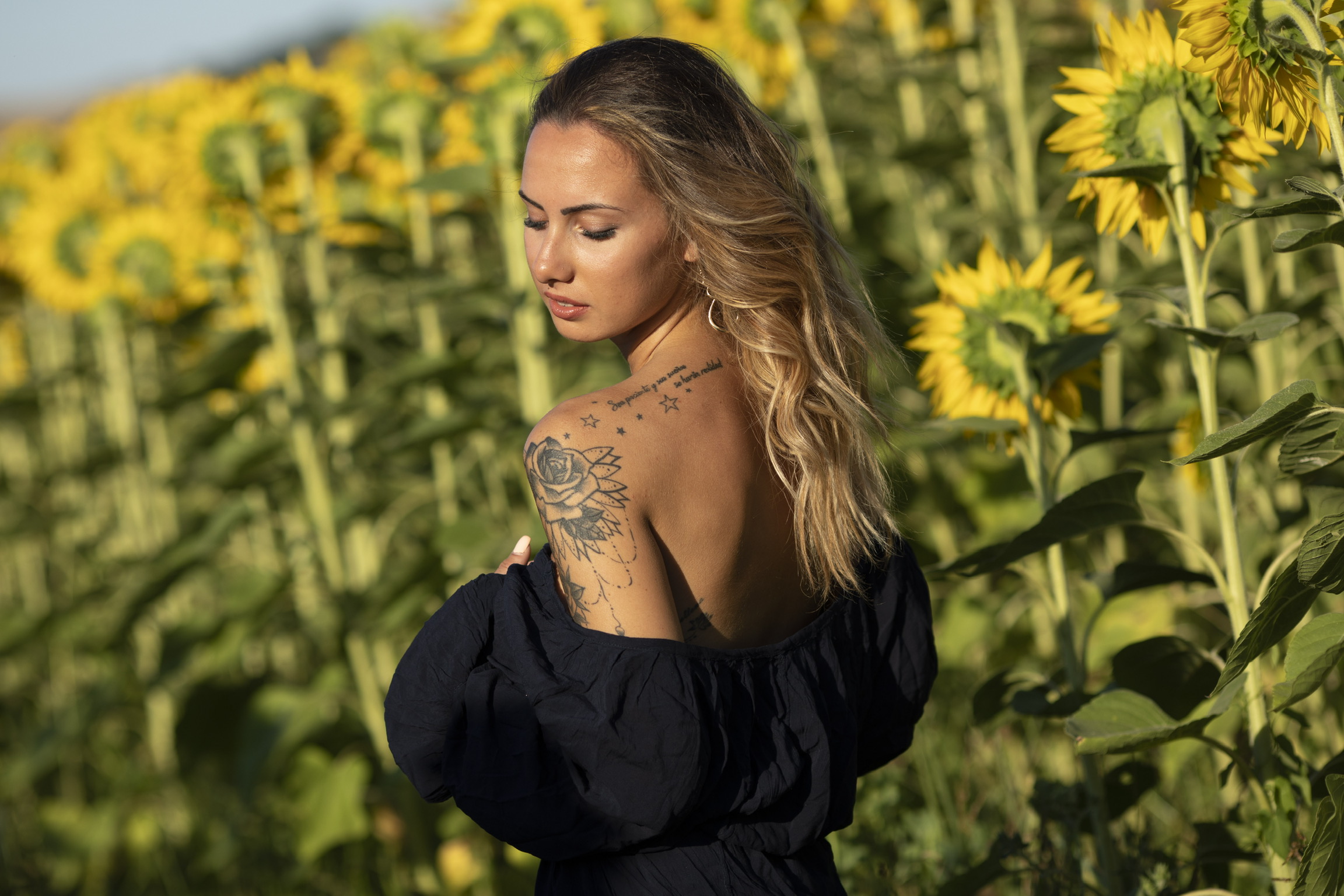 Ilaria Sunflowers
