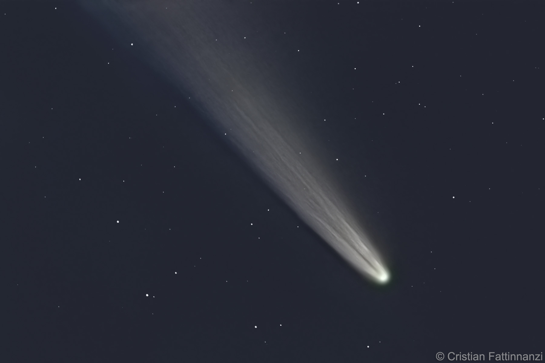 Cometa Neowise al telescopio