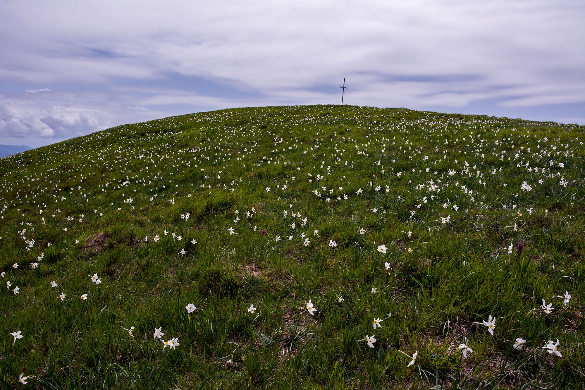 The summit of Mount Porcile