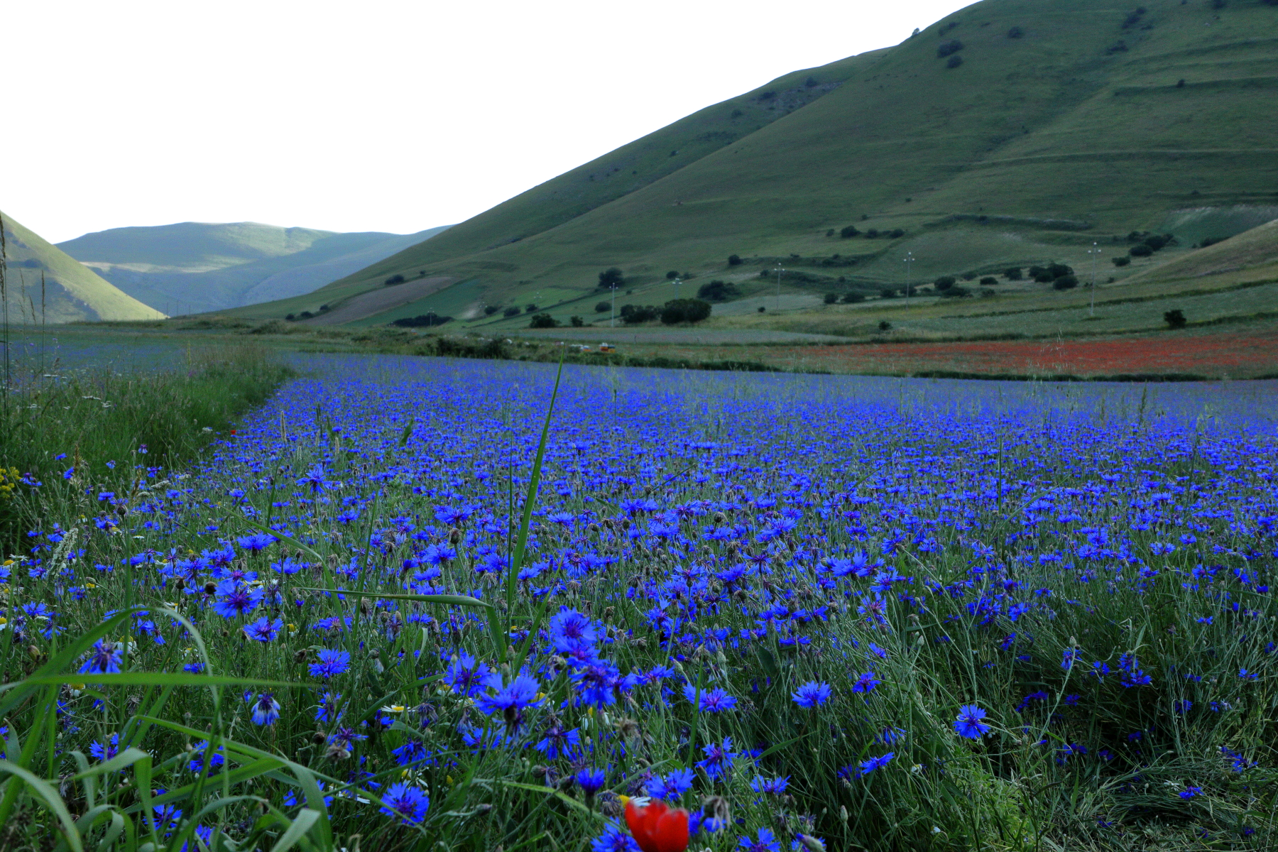 Norcia's Castelluccio