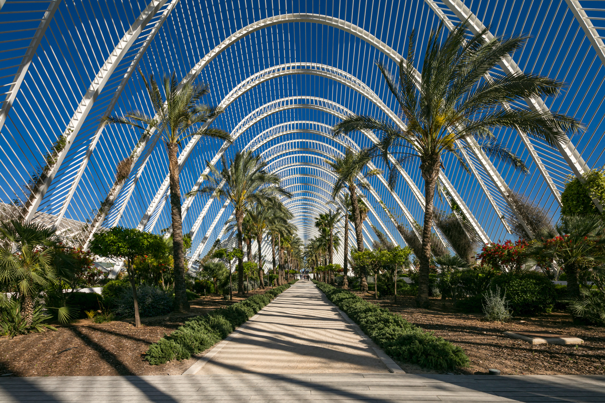 Oceanografico di Calatrava, Valenciaa