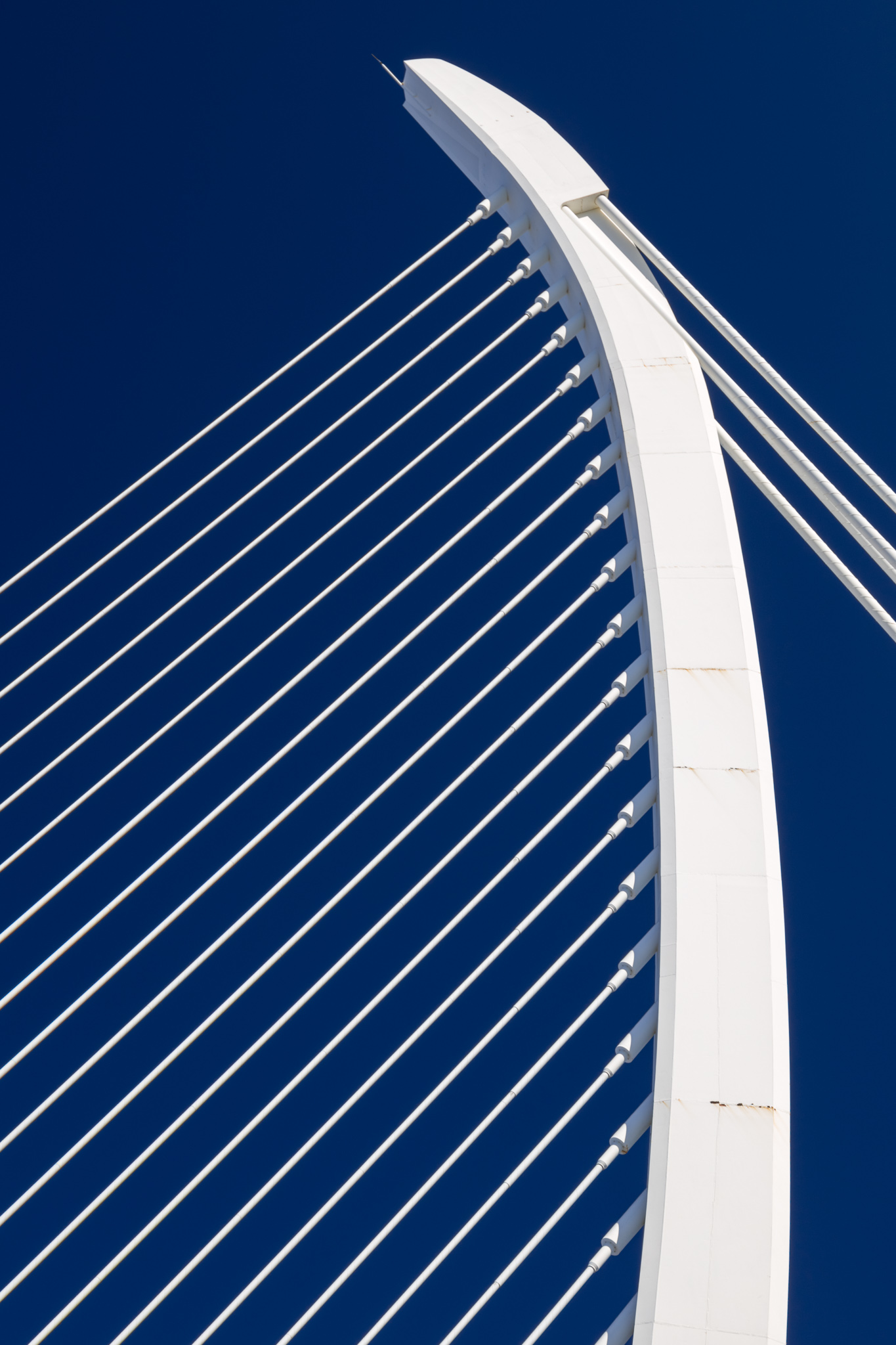 Oceanografico di Calatrava, Valenciaa