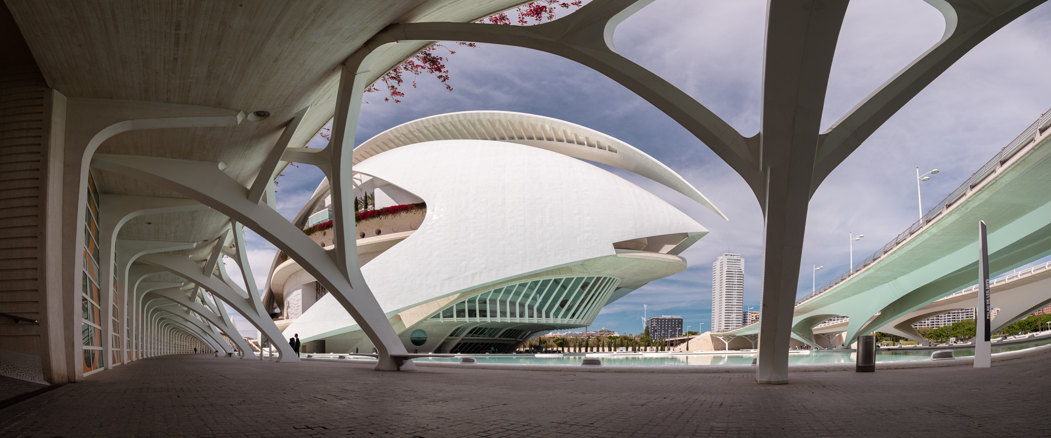 Oceanografico di Calatrava, Valenciaa