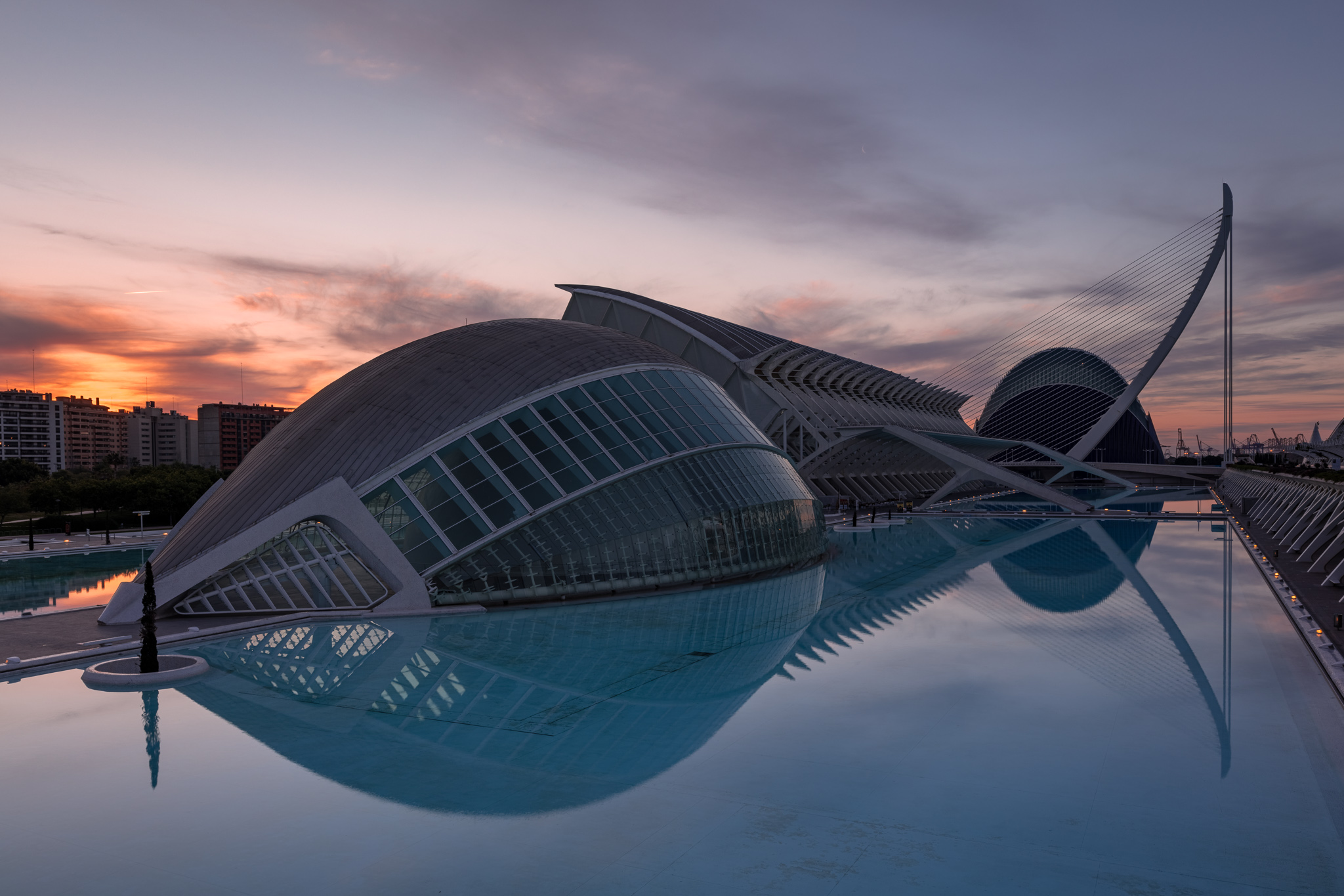 Oceanografico di Calatrava, Valenciaa