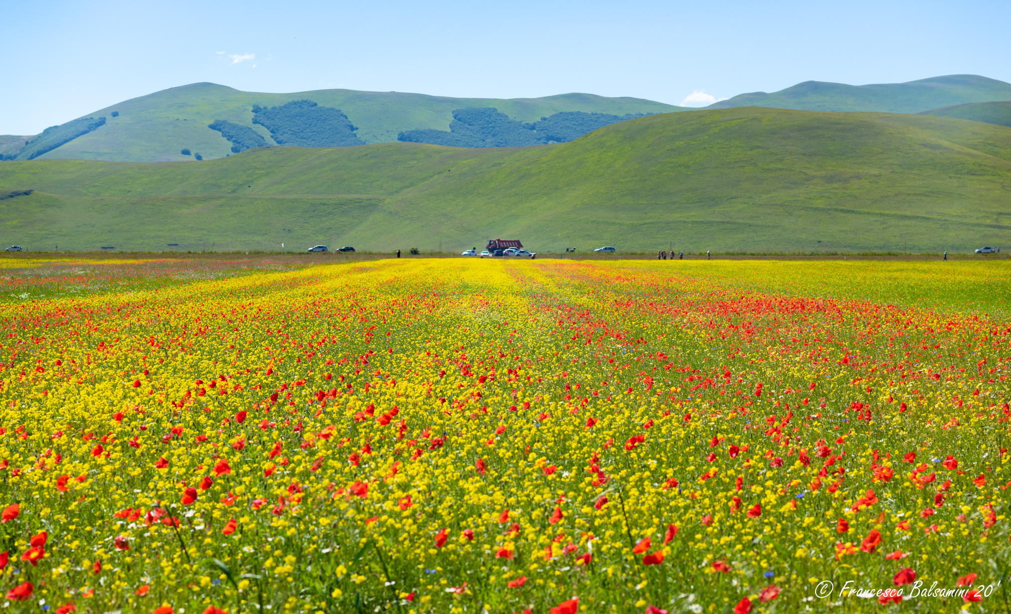 Between flowering, tourism and reconstruction