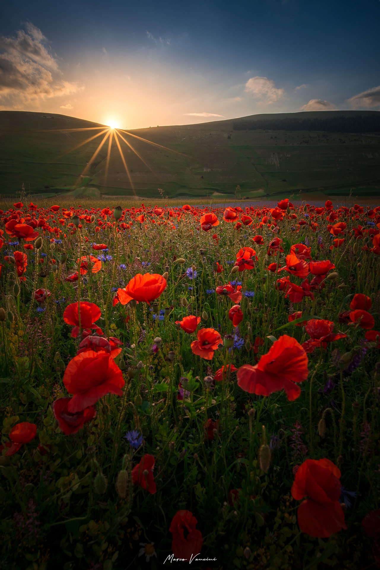 Tramonto a Castelluccio