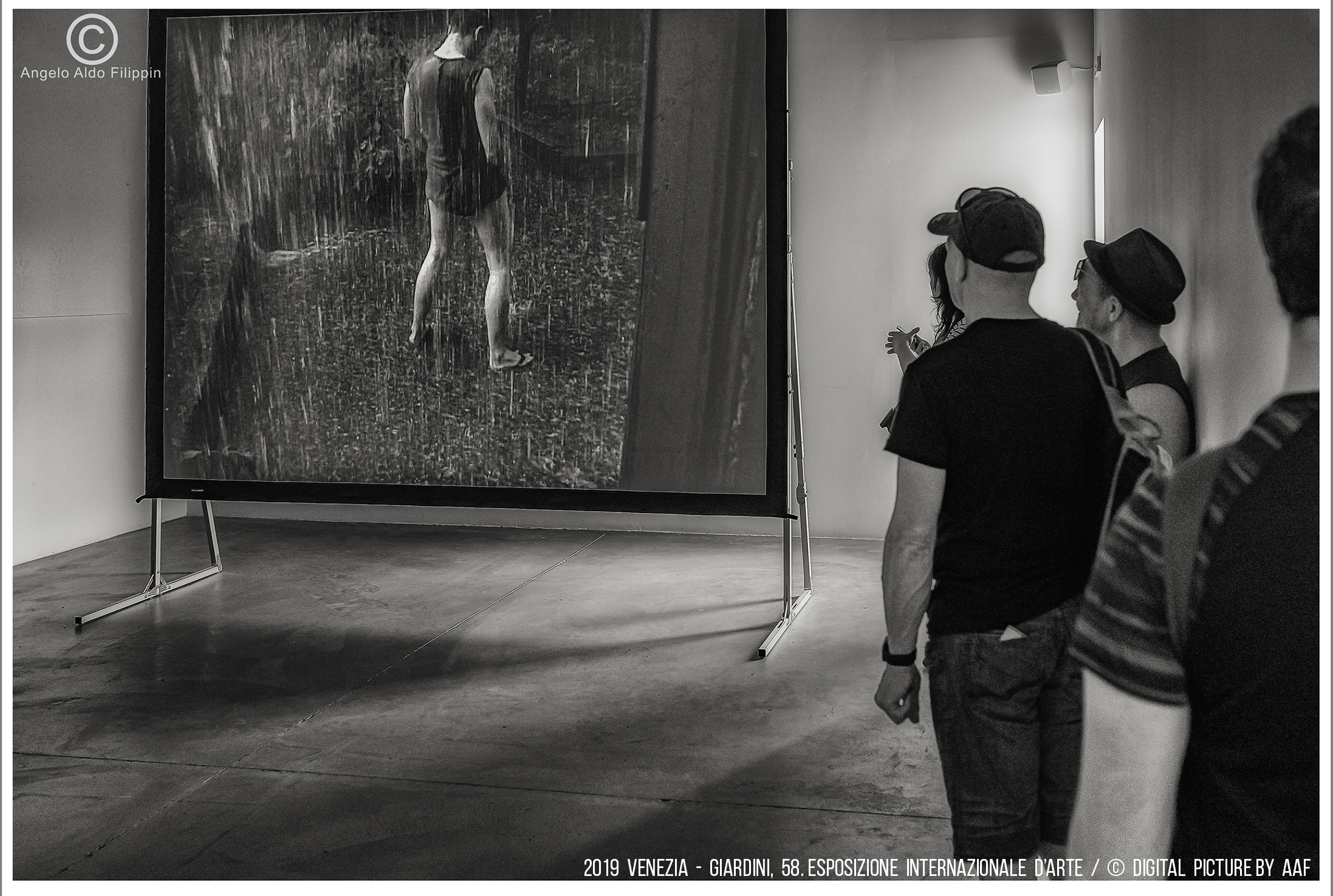 2019 Venezia, Giardini-58. Esposizione Intern. d'Arte