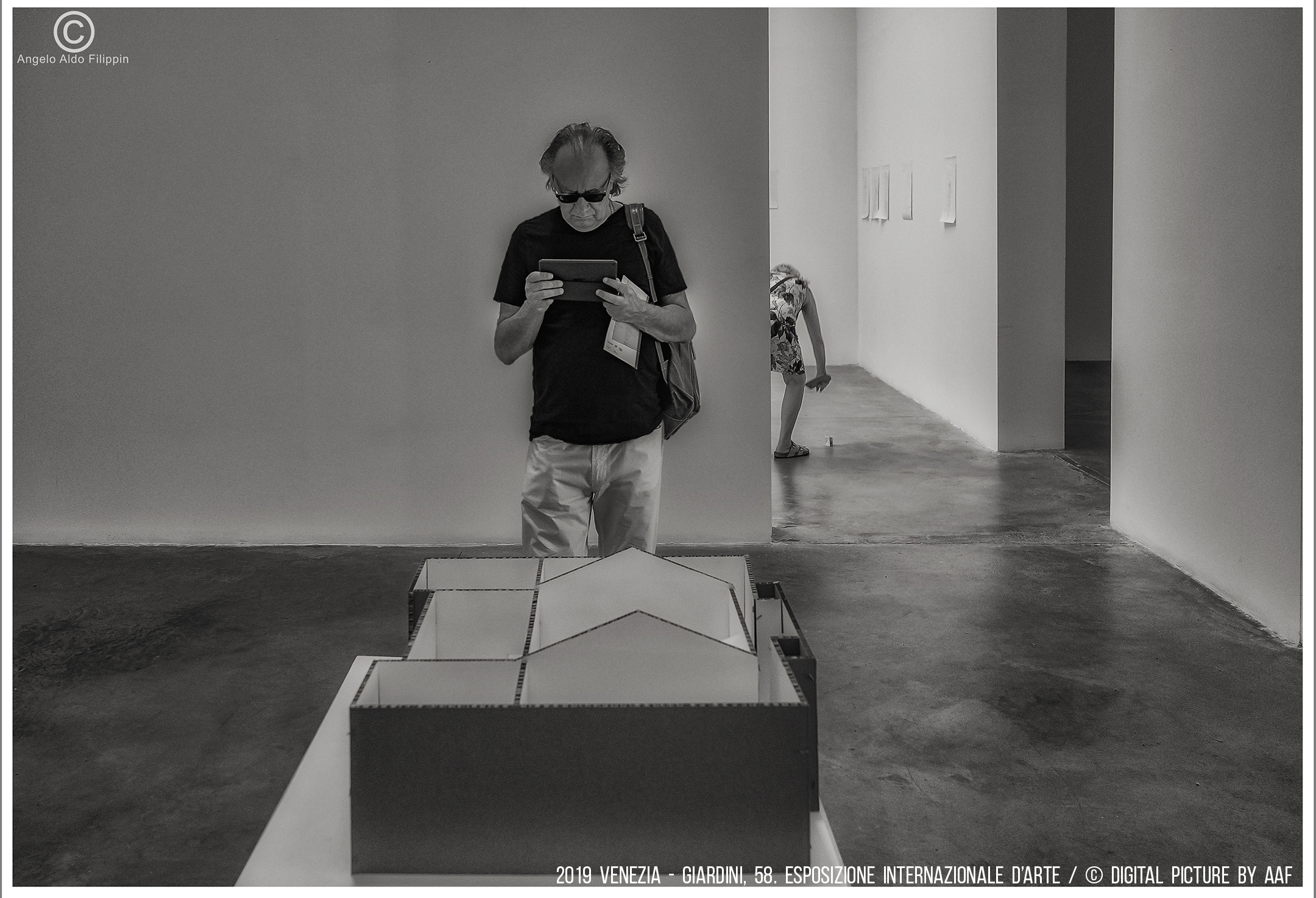 2019 Venezia, Giardini-58. Esposizione Intern. d'Arte