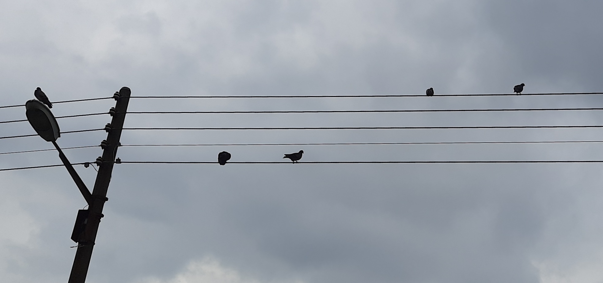 Note musicali ..... E E F F