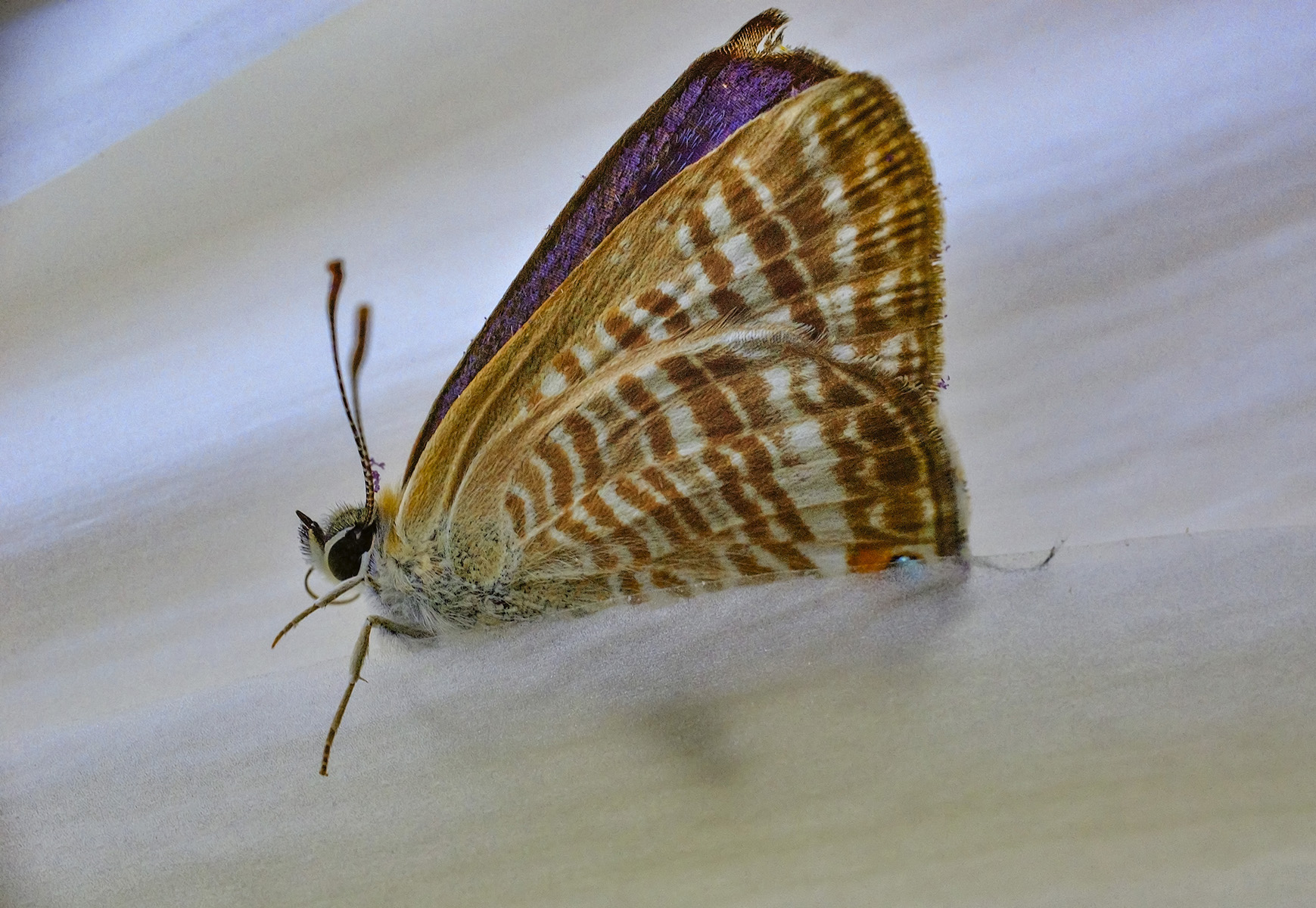 Ehi qualcuno mi aiuta? mi sono incastrata...