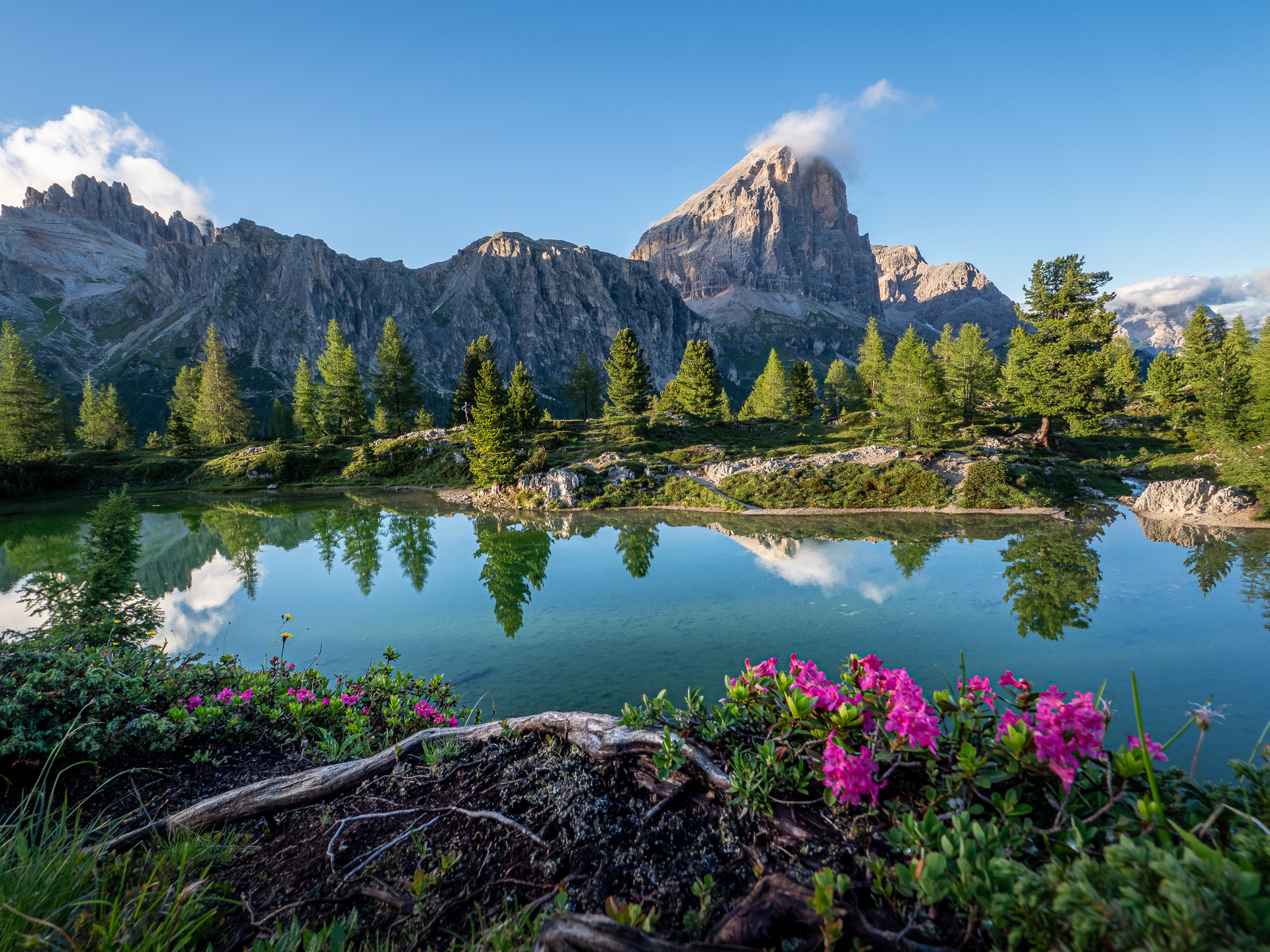 sinfonia per gli occhi