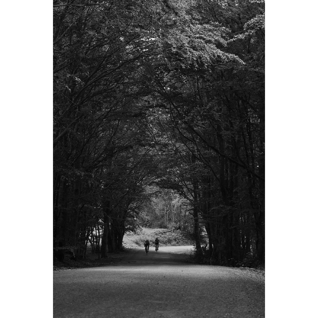 the tunnel