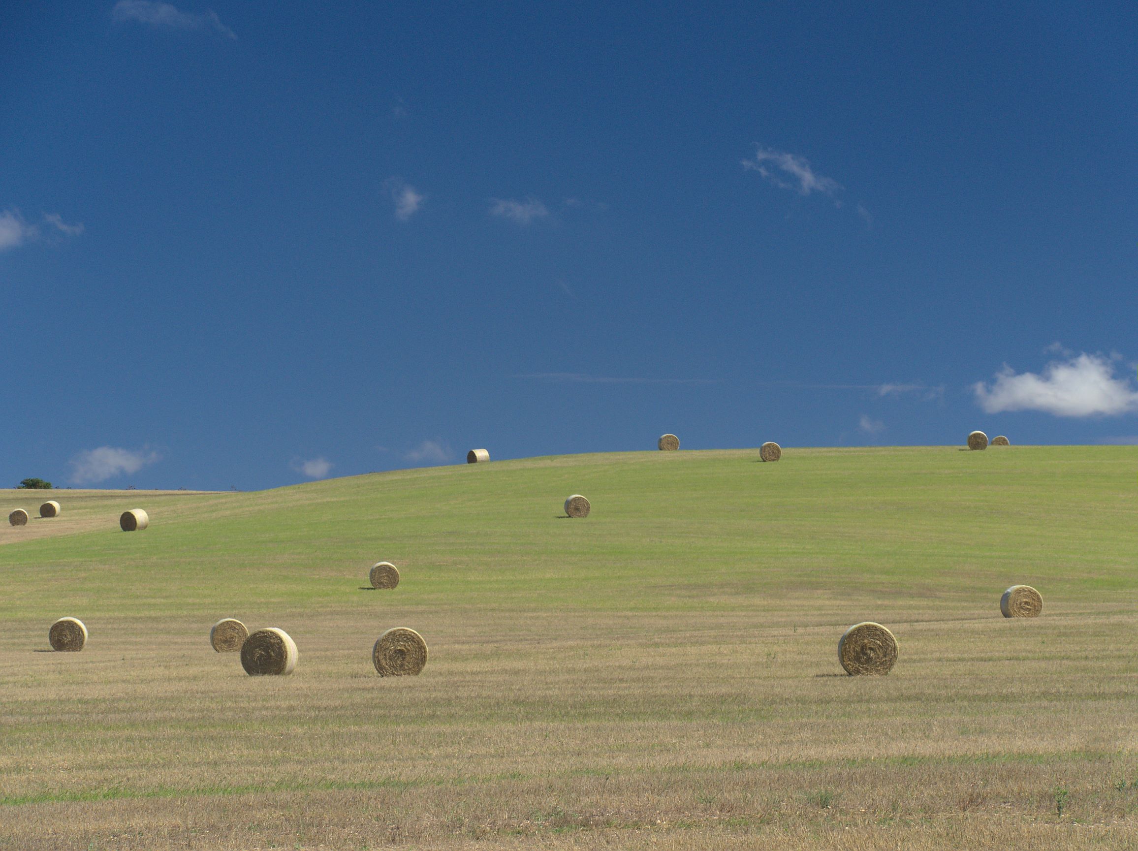 Paesaggi dell'Alta Murgia