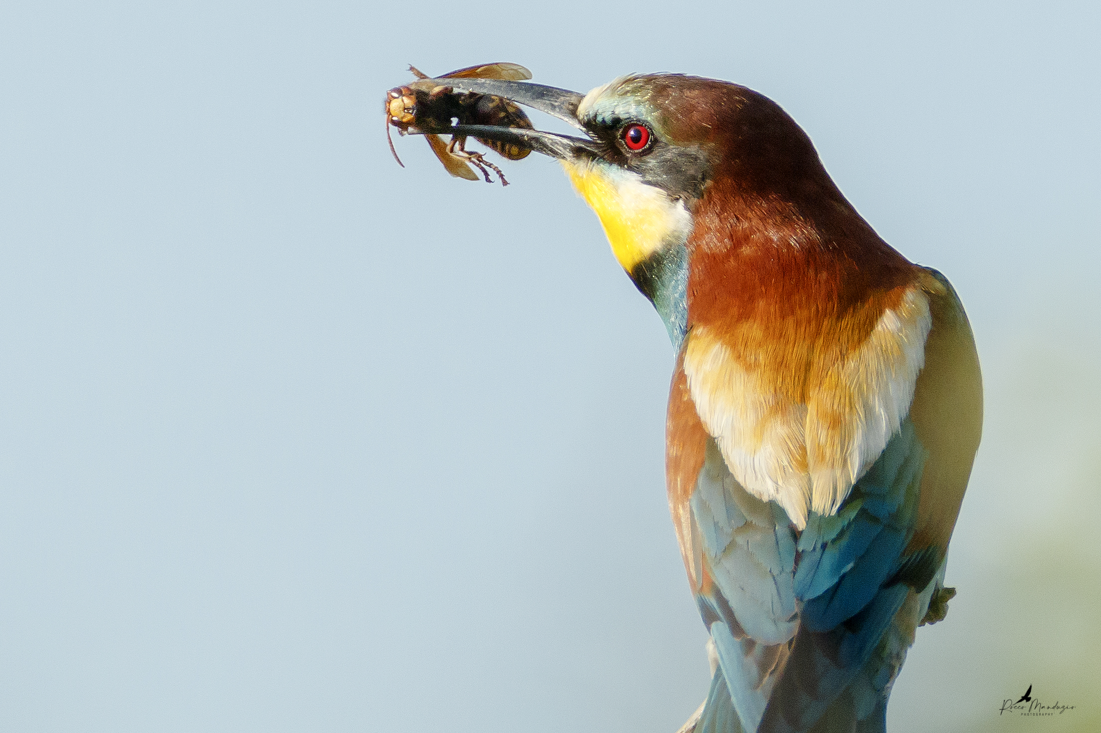 last moments of life....