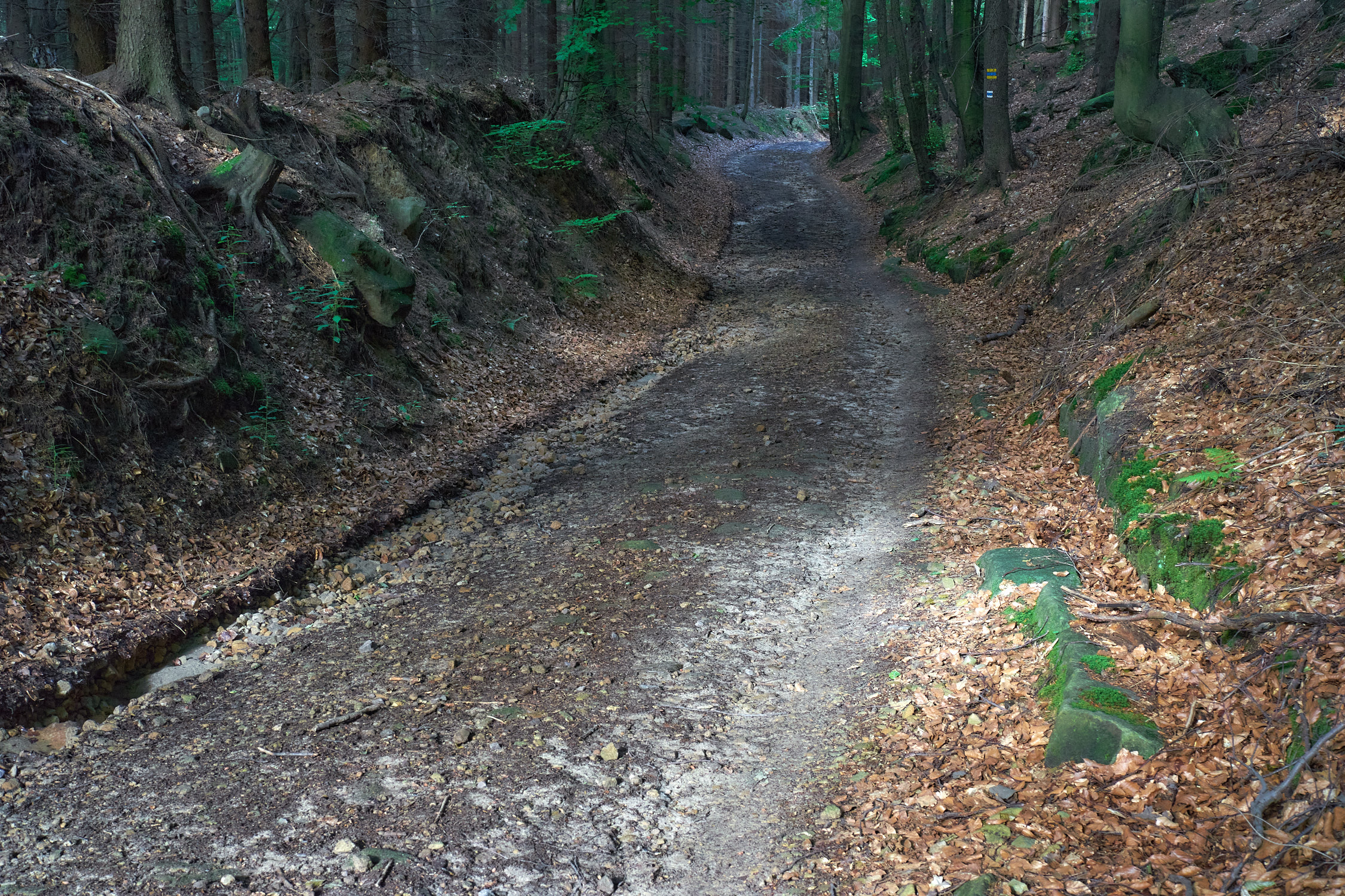 La strada di montagna