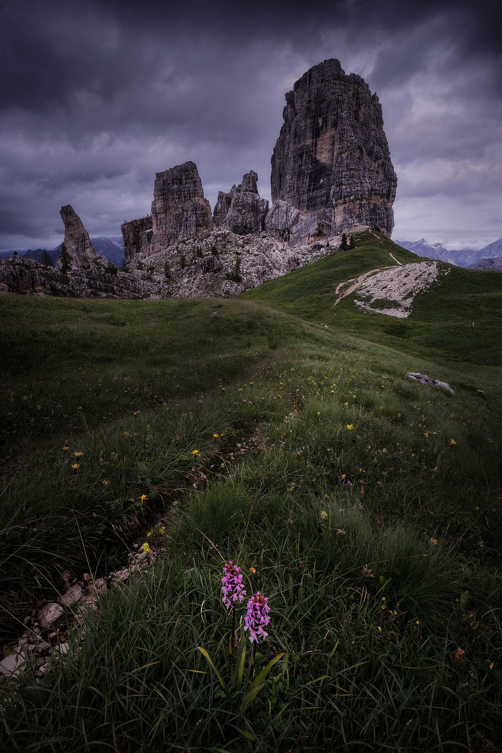 "Gymnadenia conopsea" a cospetto delle maestose 5 ...
