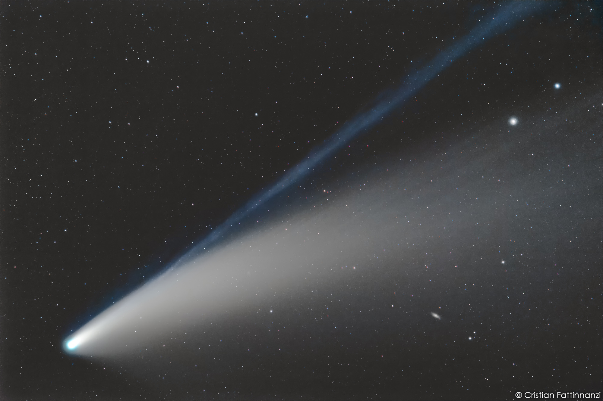 Neowise flies over ngc2841