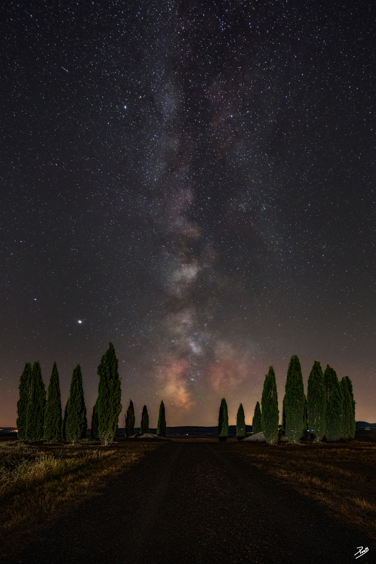 Cypresses in a circle