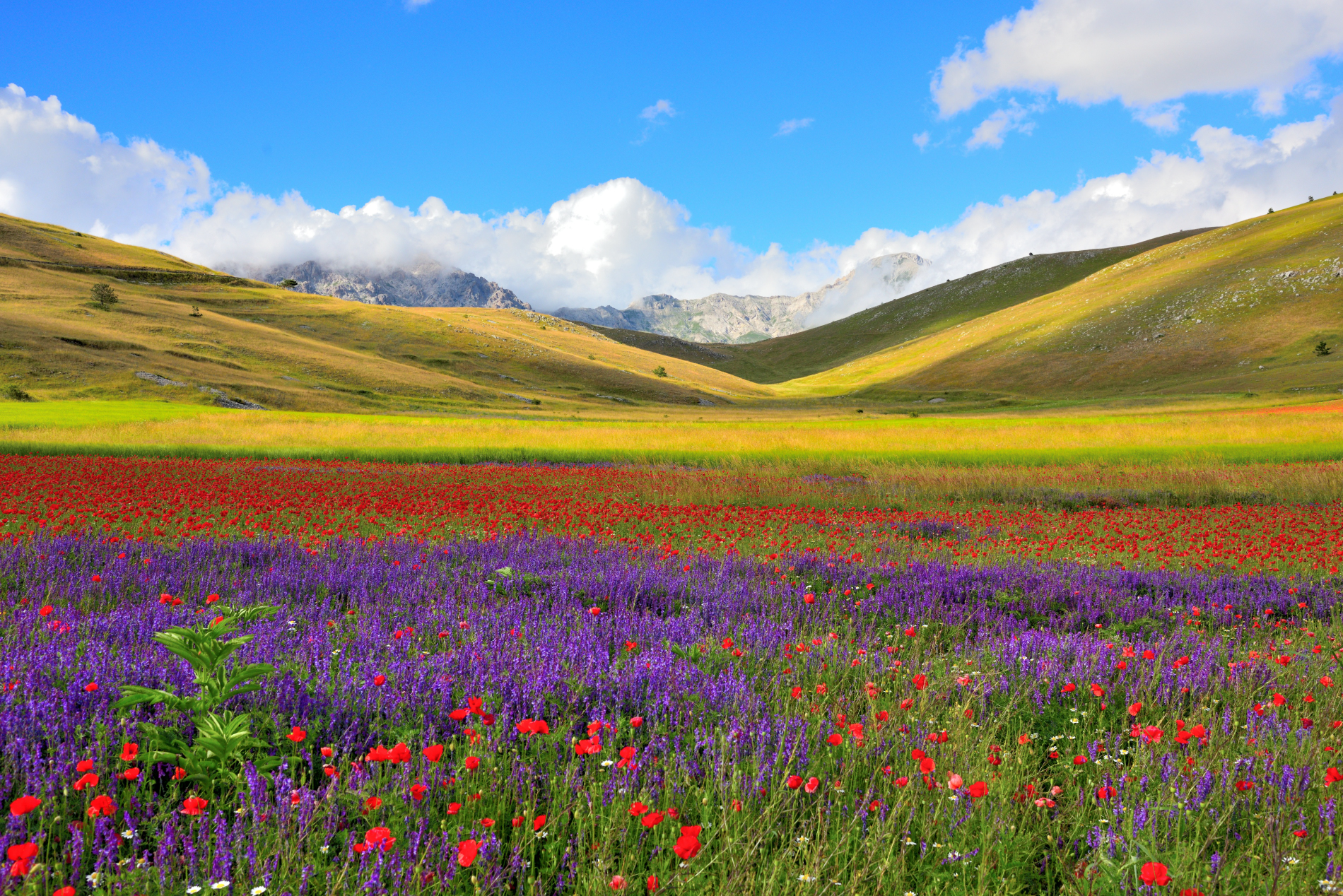 Colori a Campo Imperatore