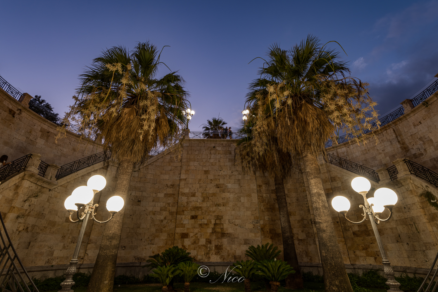 Nikon d810 0,4sec mano libera