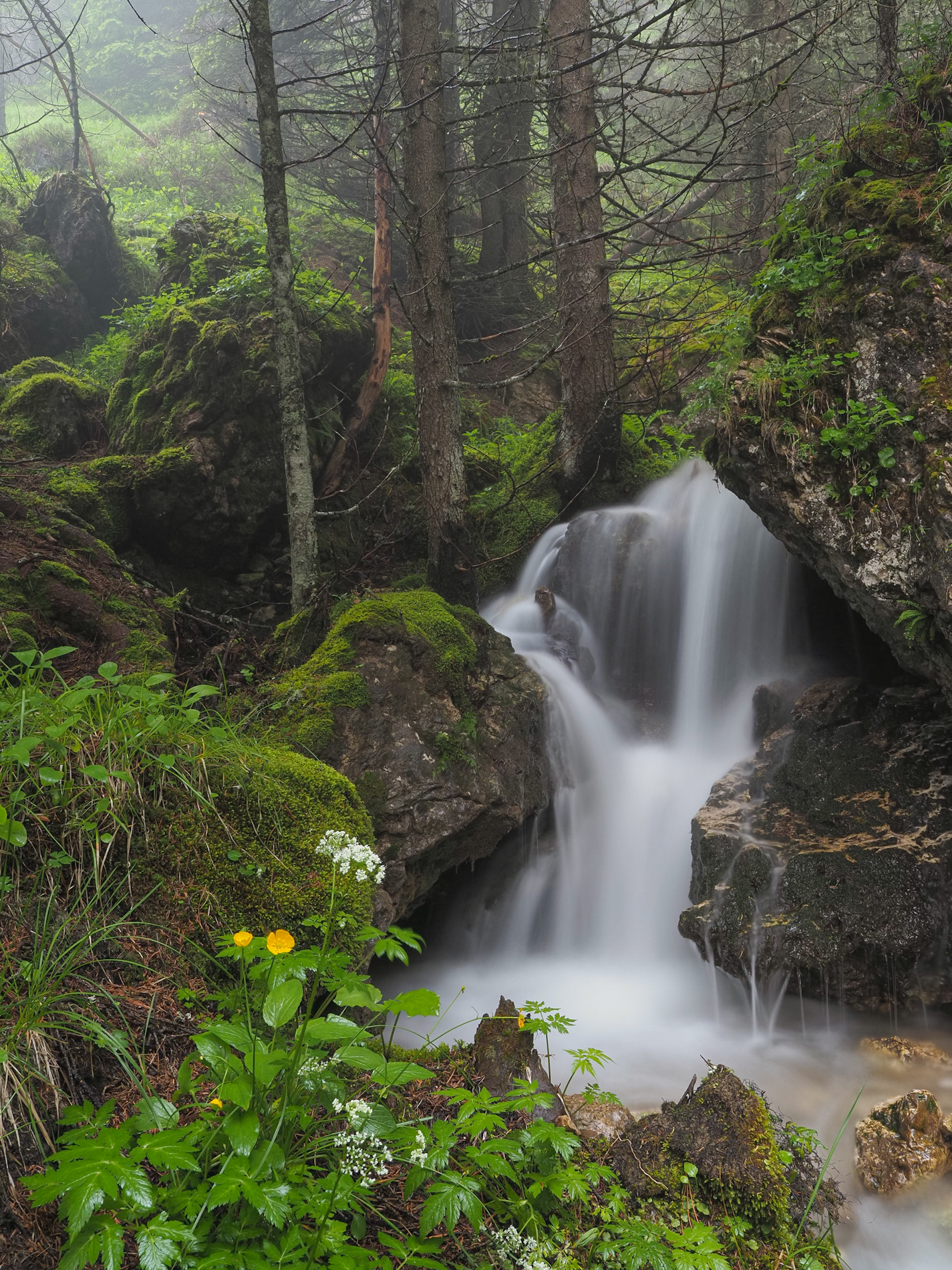 Una cascata di freschezza