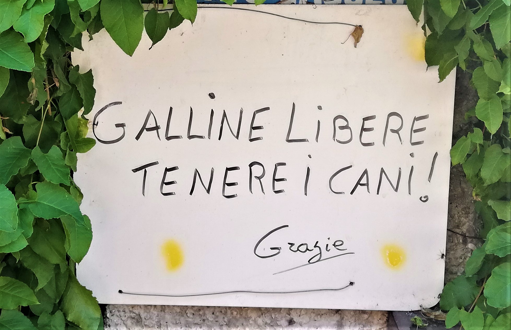 Sign... Attention...