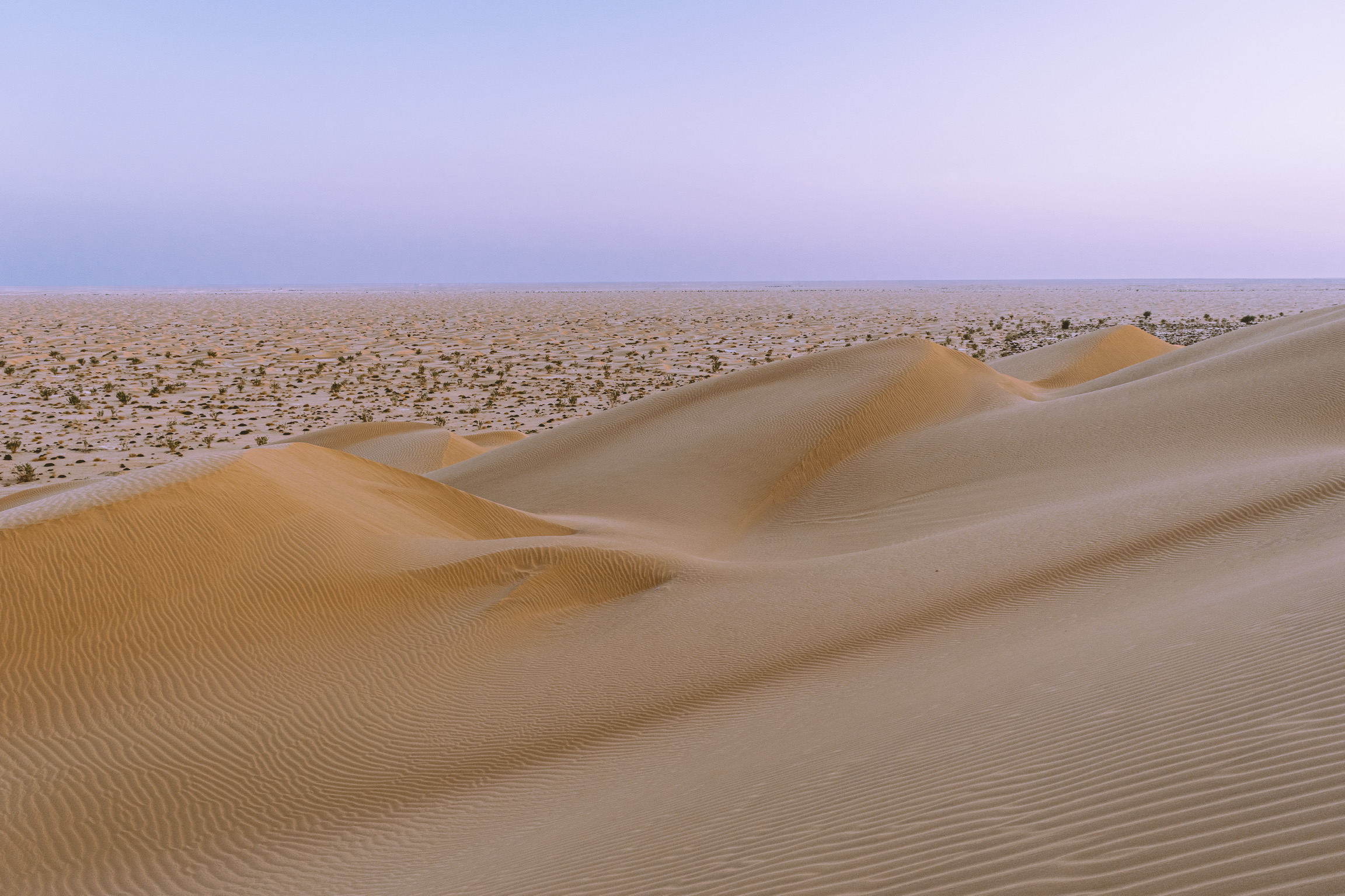 Deserto del quarto vuoto