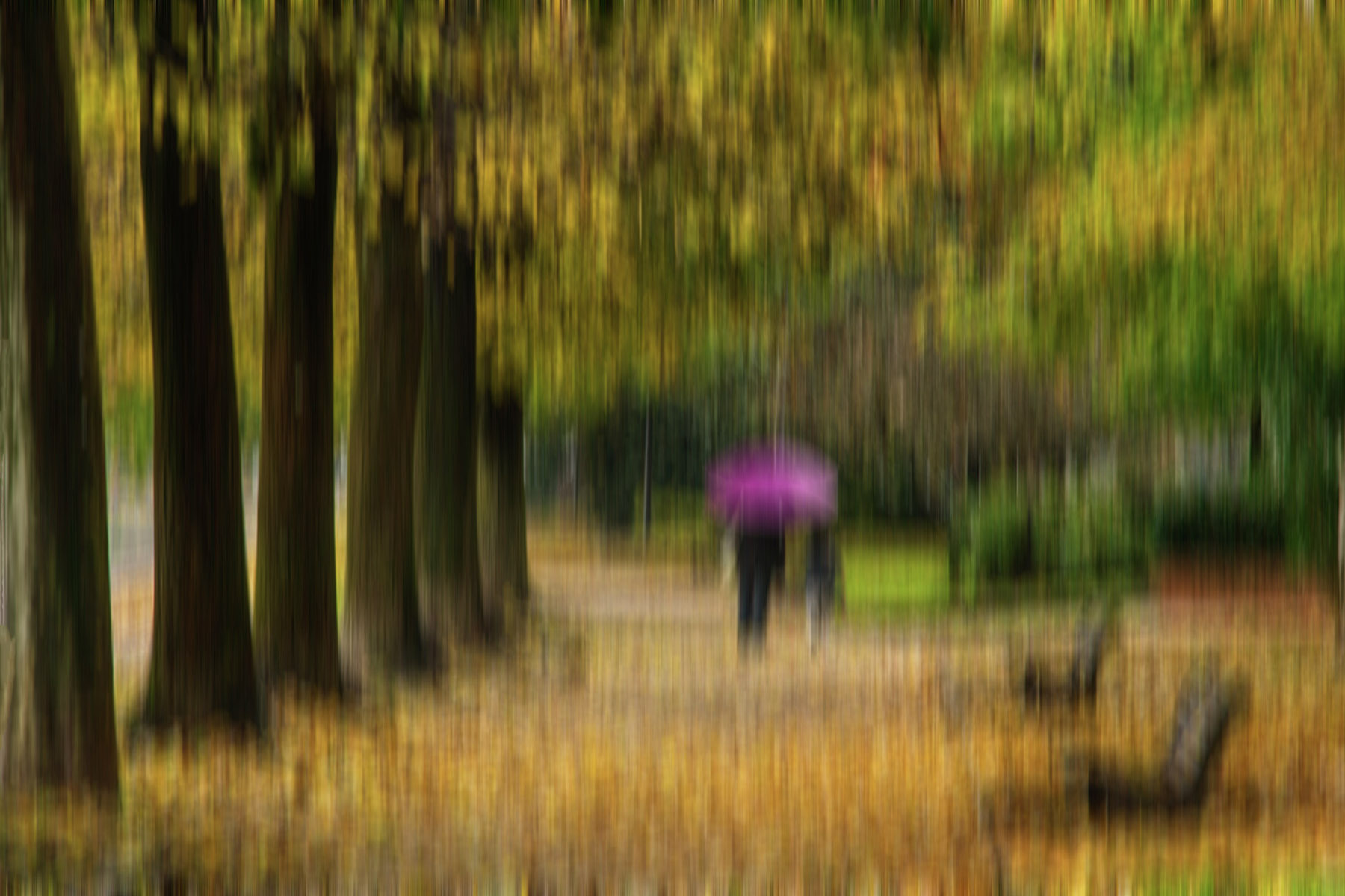 impressioni di settembre