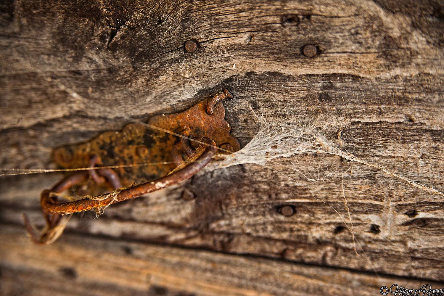 The Texas Chainsaw Massacre, and in fact ....